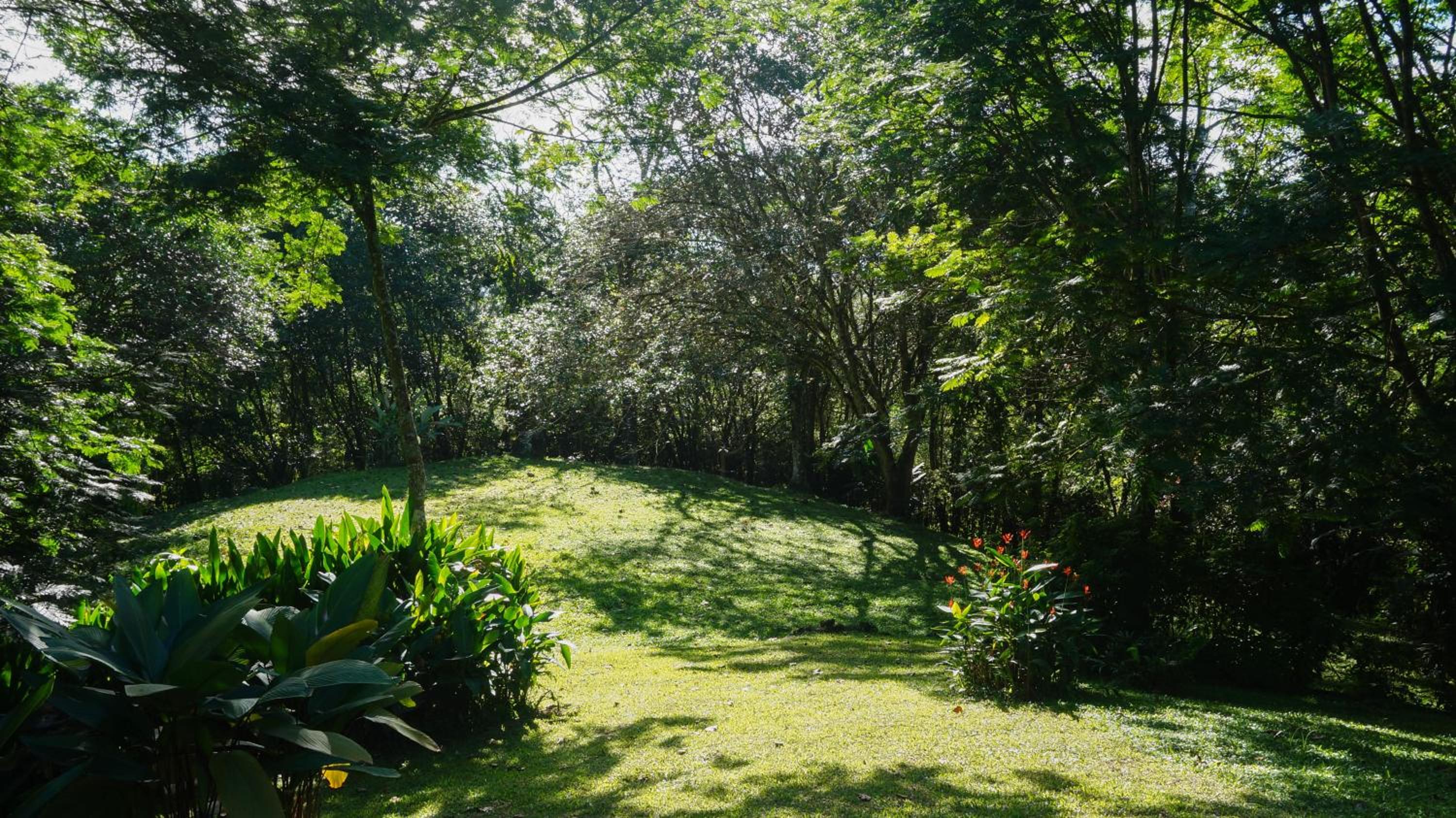 Hospedaje La Naciente