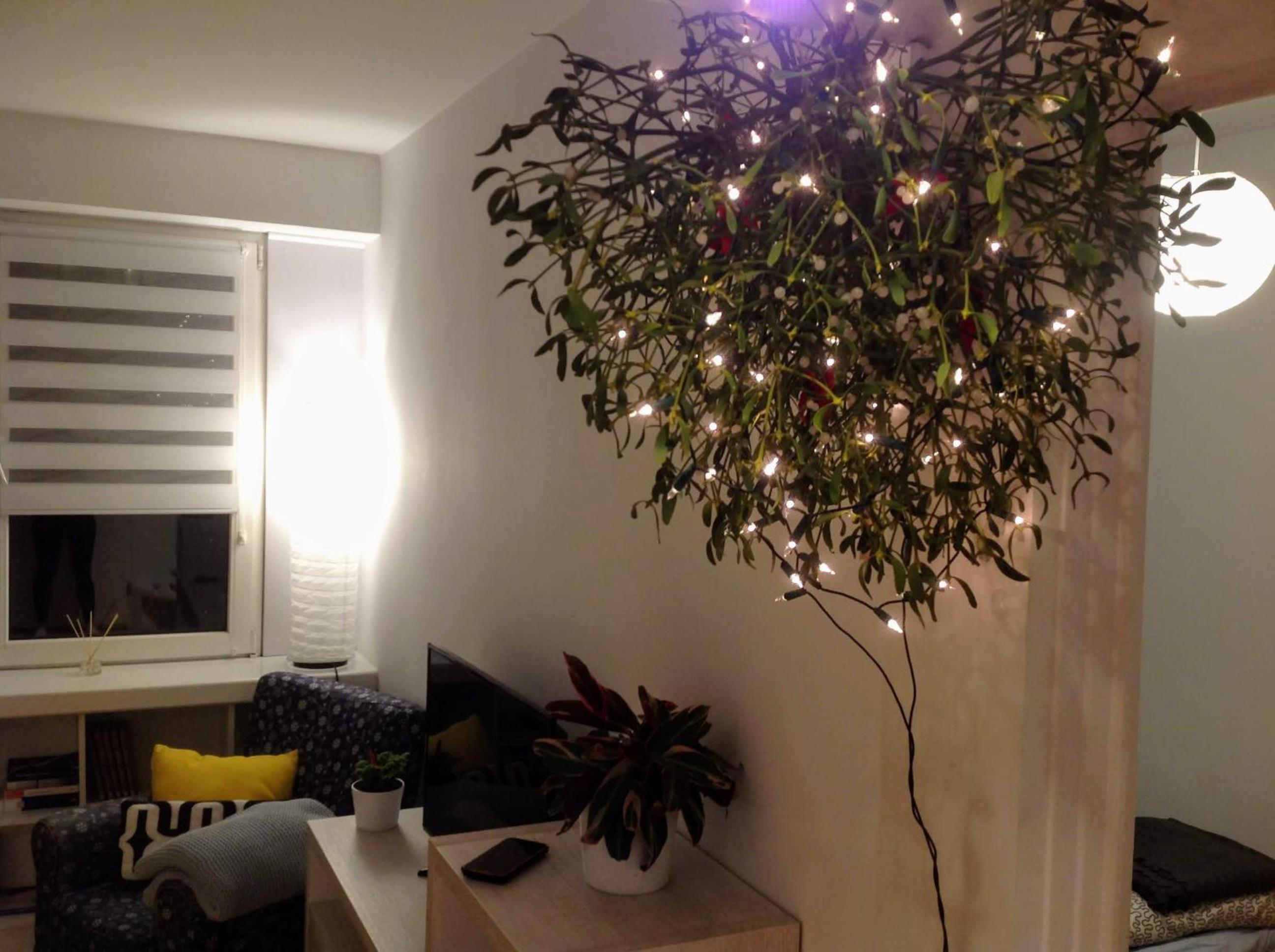 Apartament UŚMIECH