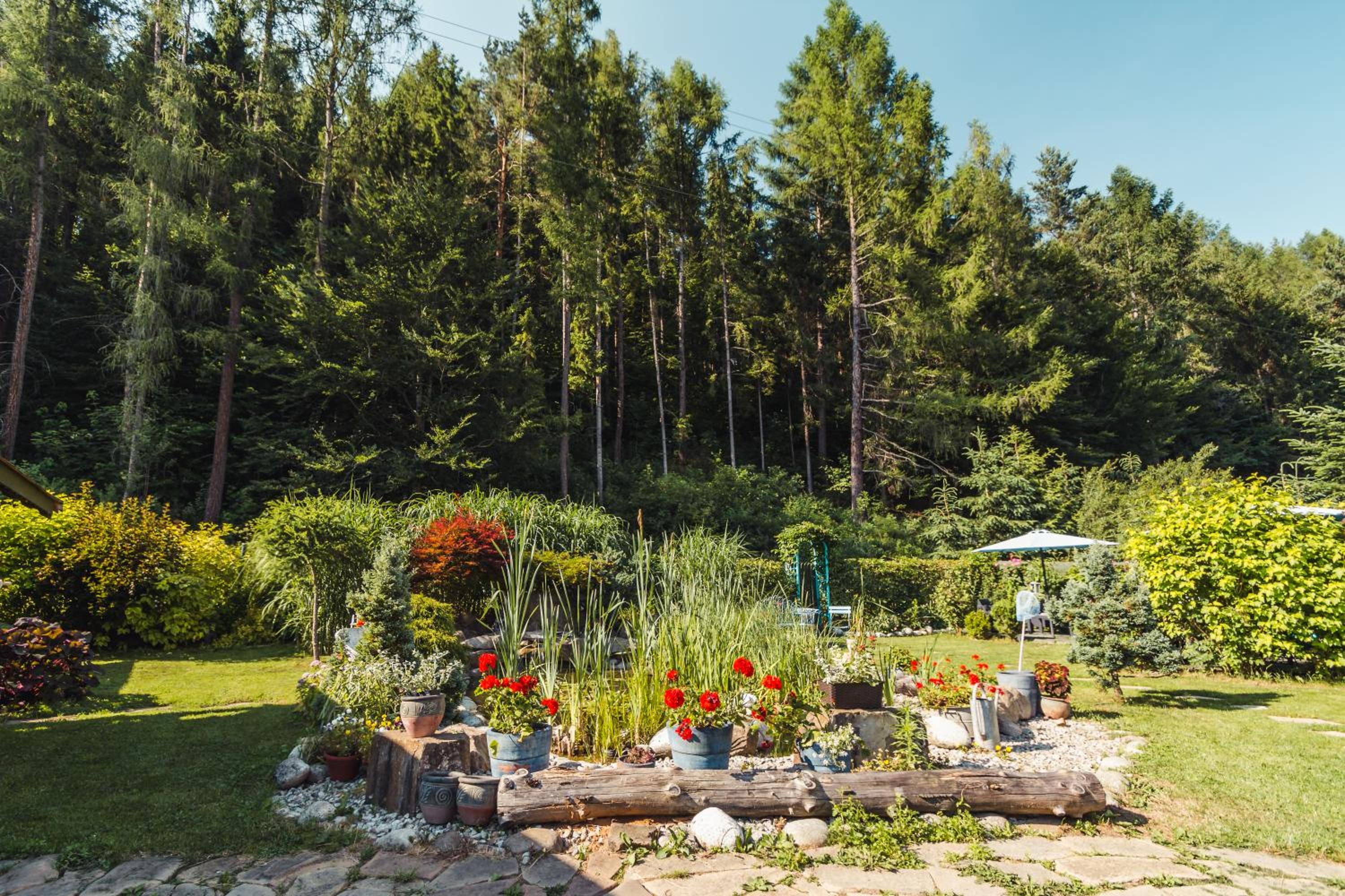 Apartamenty Zielona Owieczka