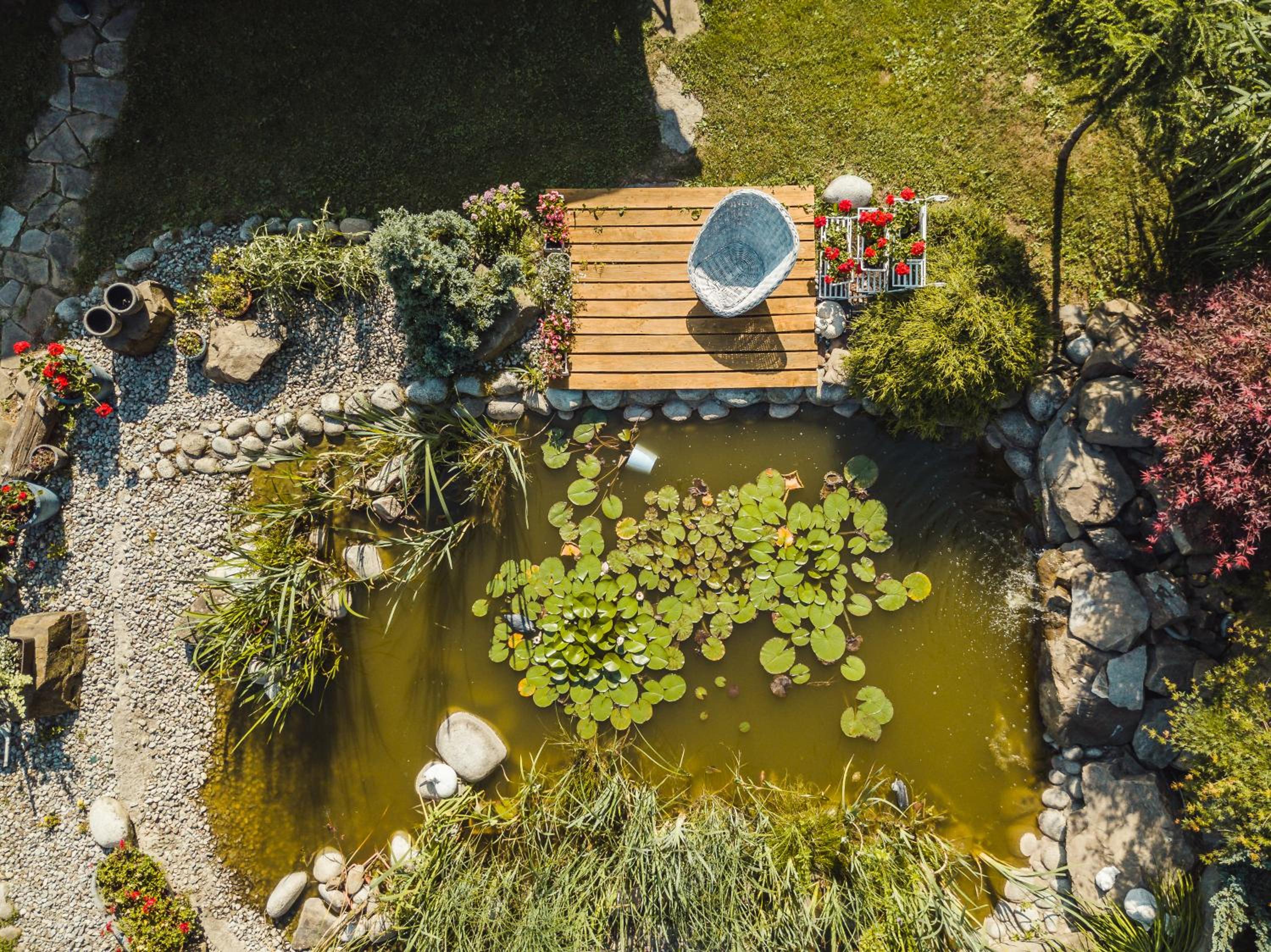 Apartamenty Zielona Owieczka