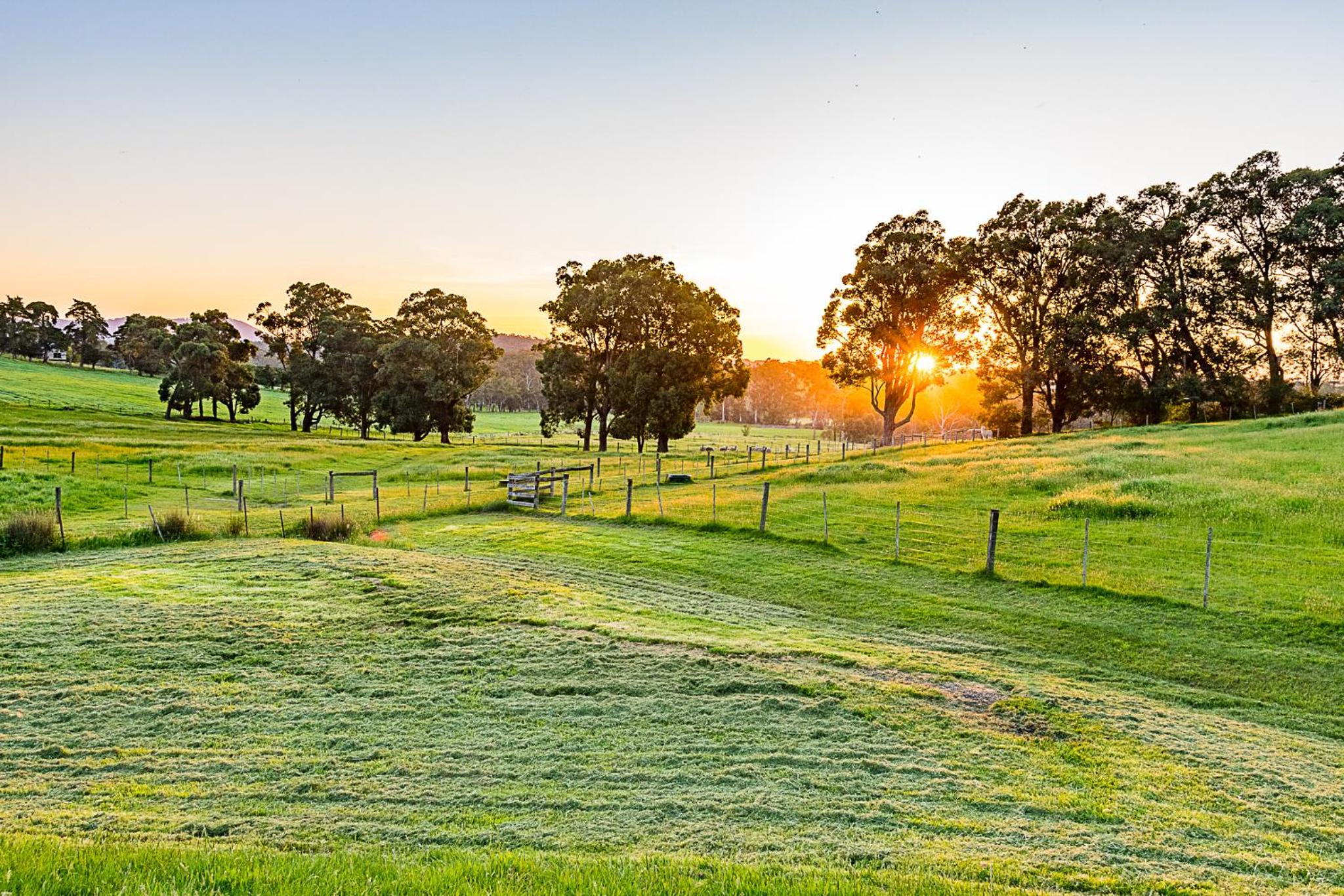 Raynella Alpaca Farmstay