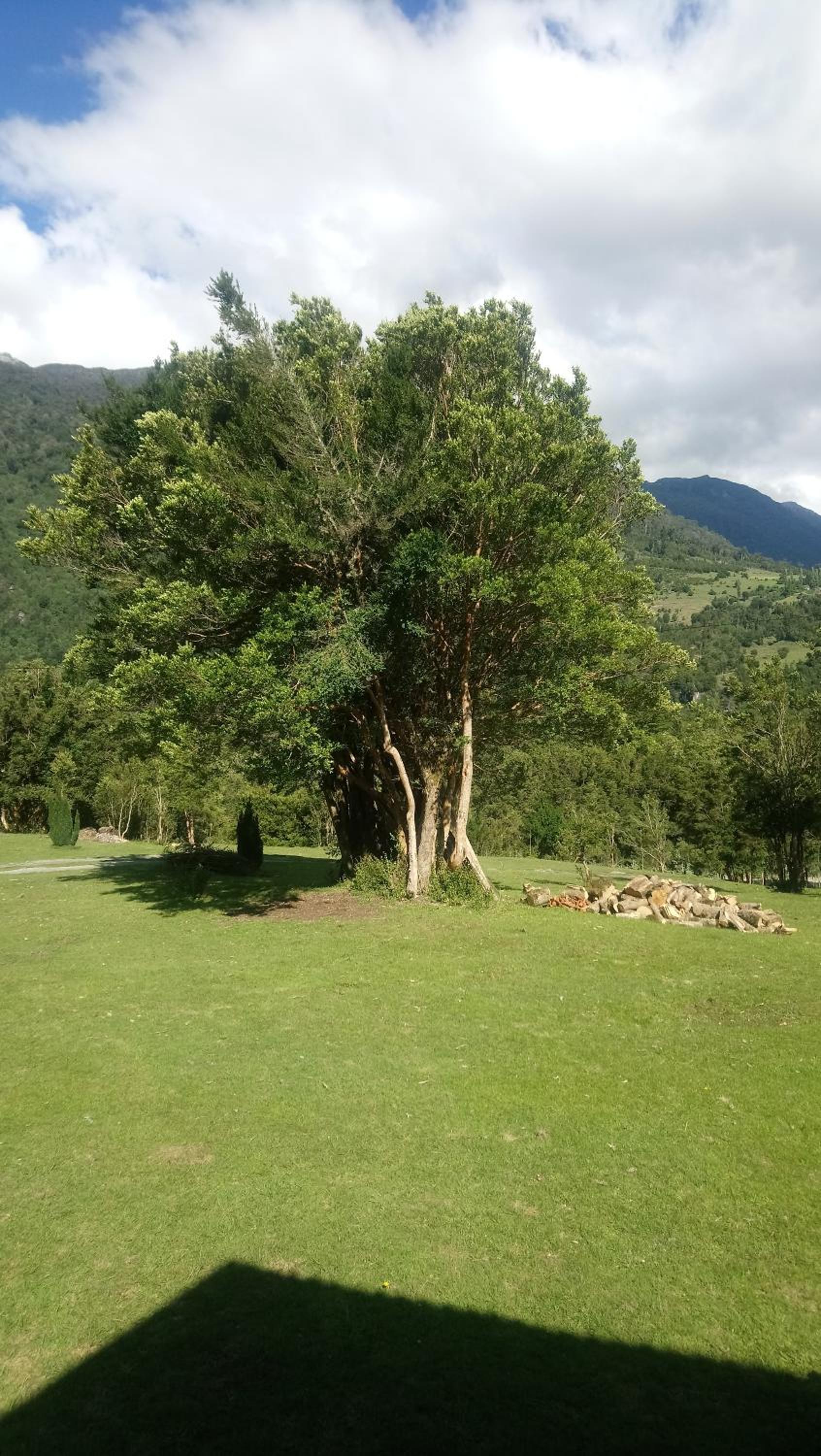 Cabaña El Alto Cochamó