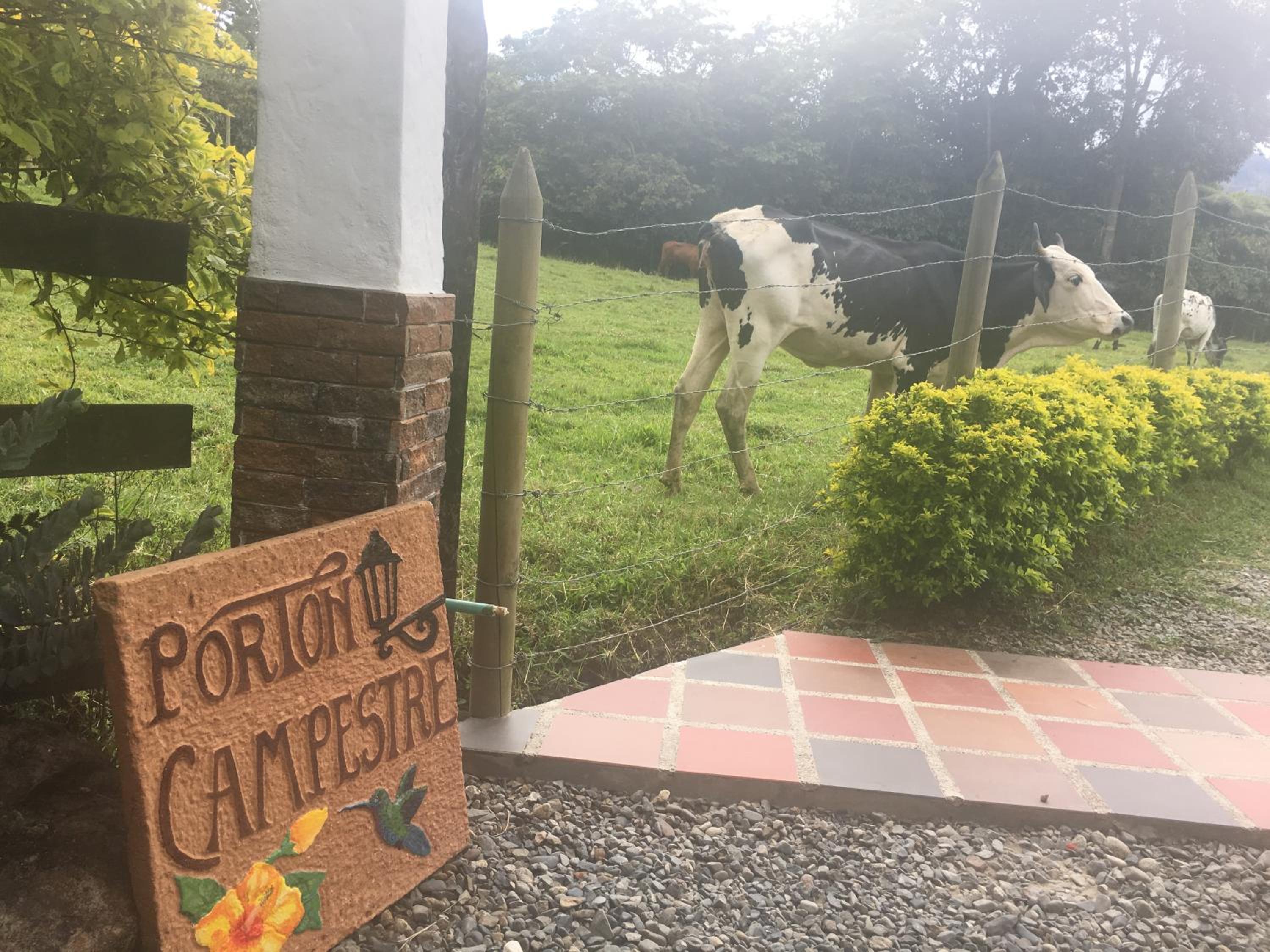 Casa Hotel Porton Campestre - Property Image 10