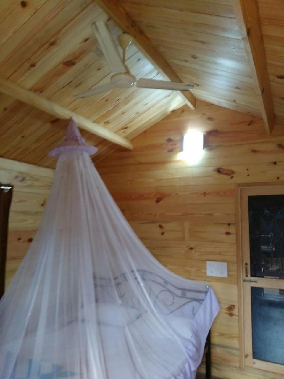 Photo 28