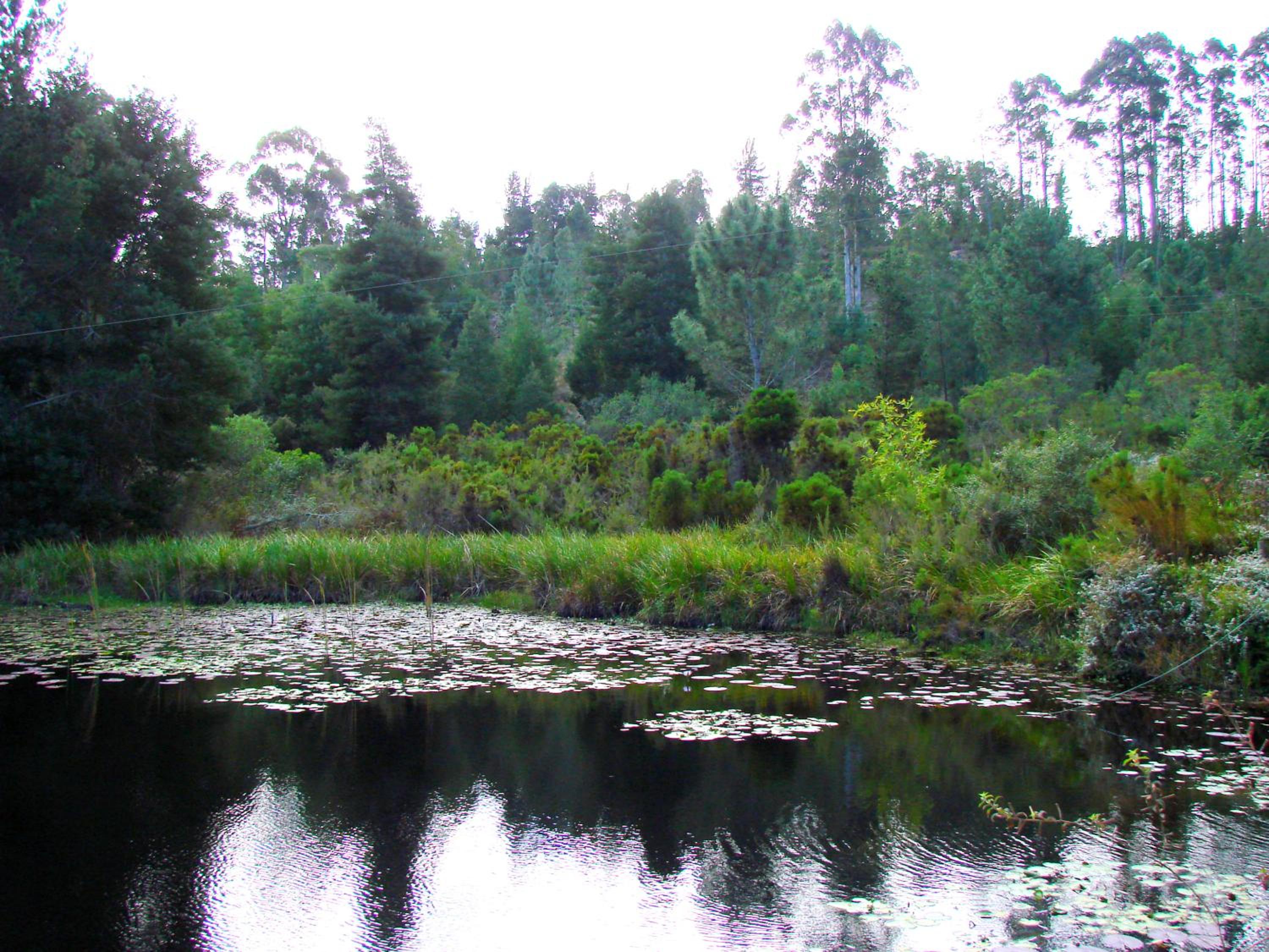 Photo 37