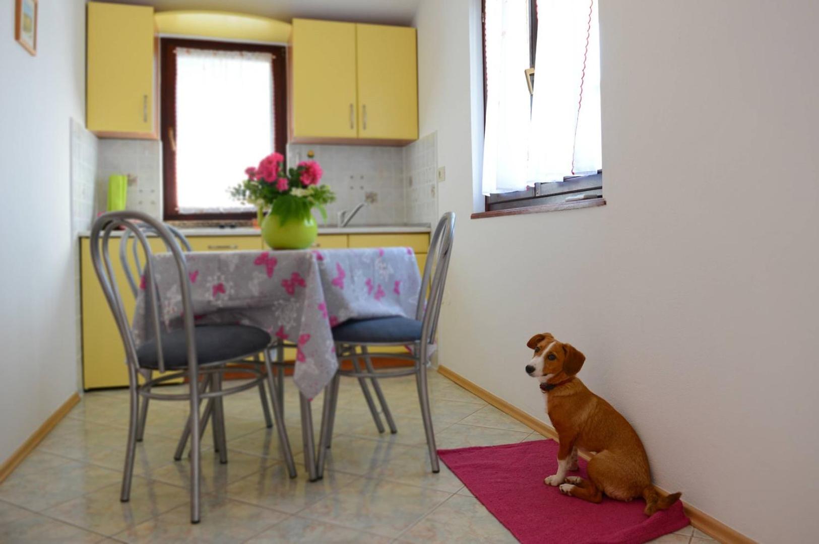 Apartments Kadum Porec center near the beach - Property Image 100