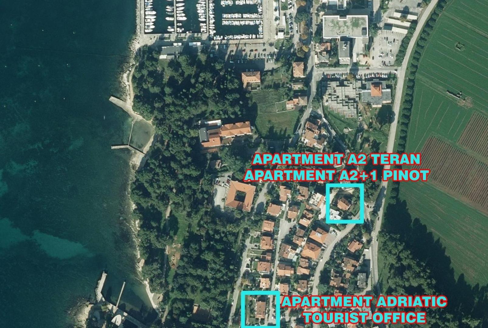 Apartments Kadum Porec center near the beach - Property Image 13