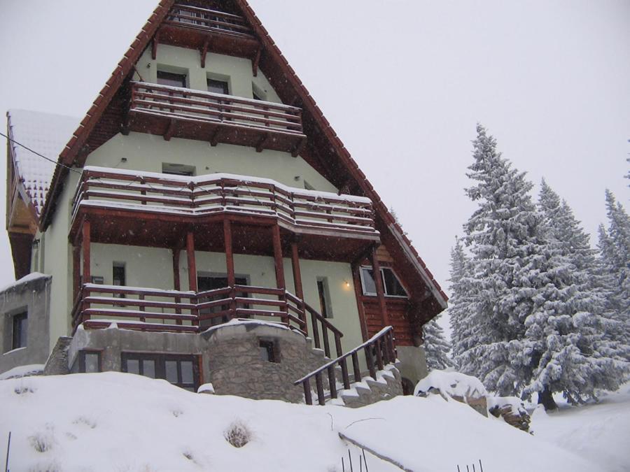 Photo 11