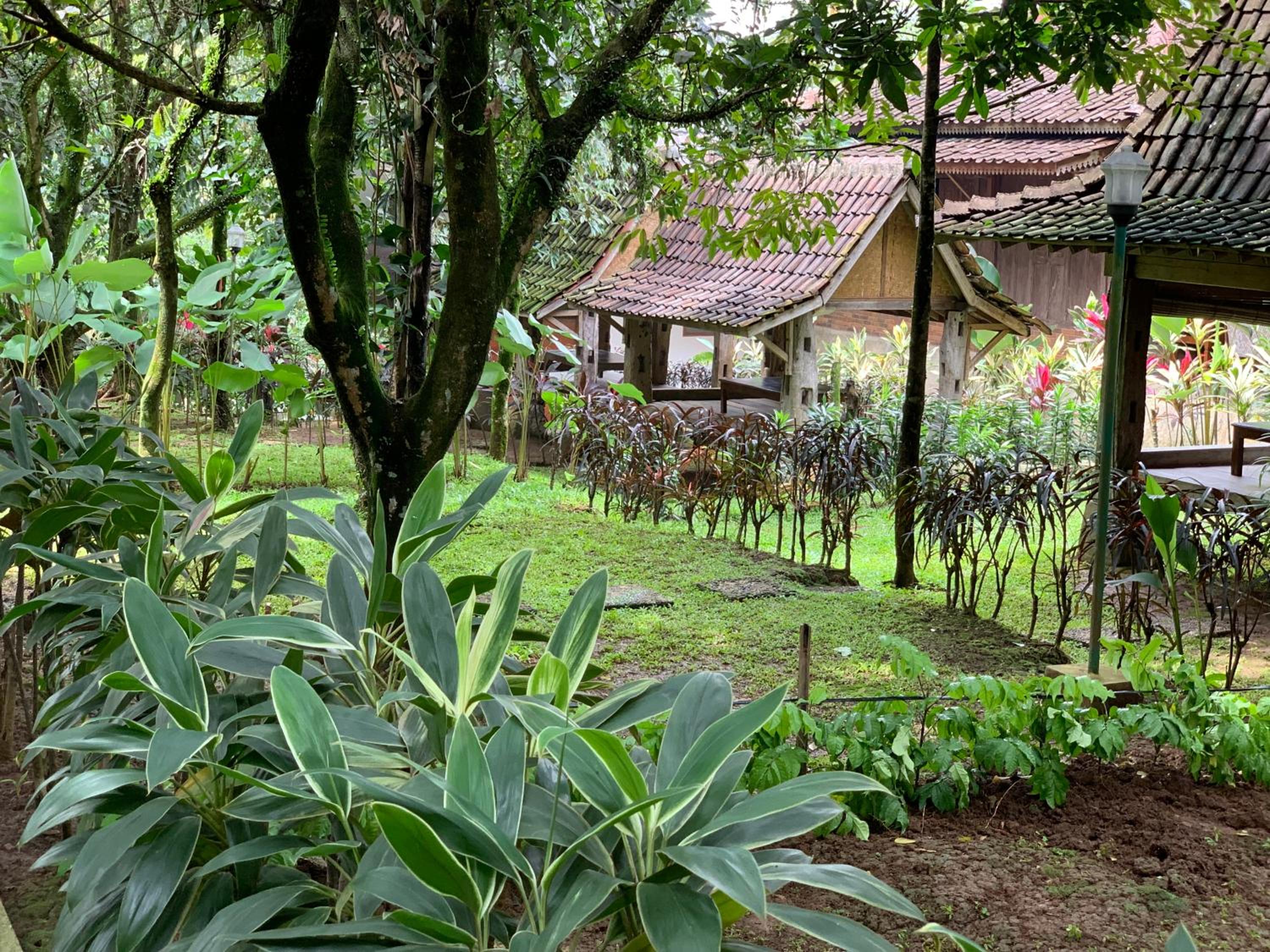 Kampoeng Wisata Rumah Joglo
