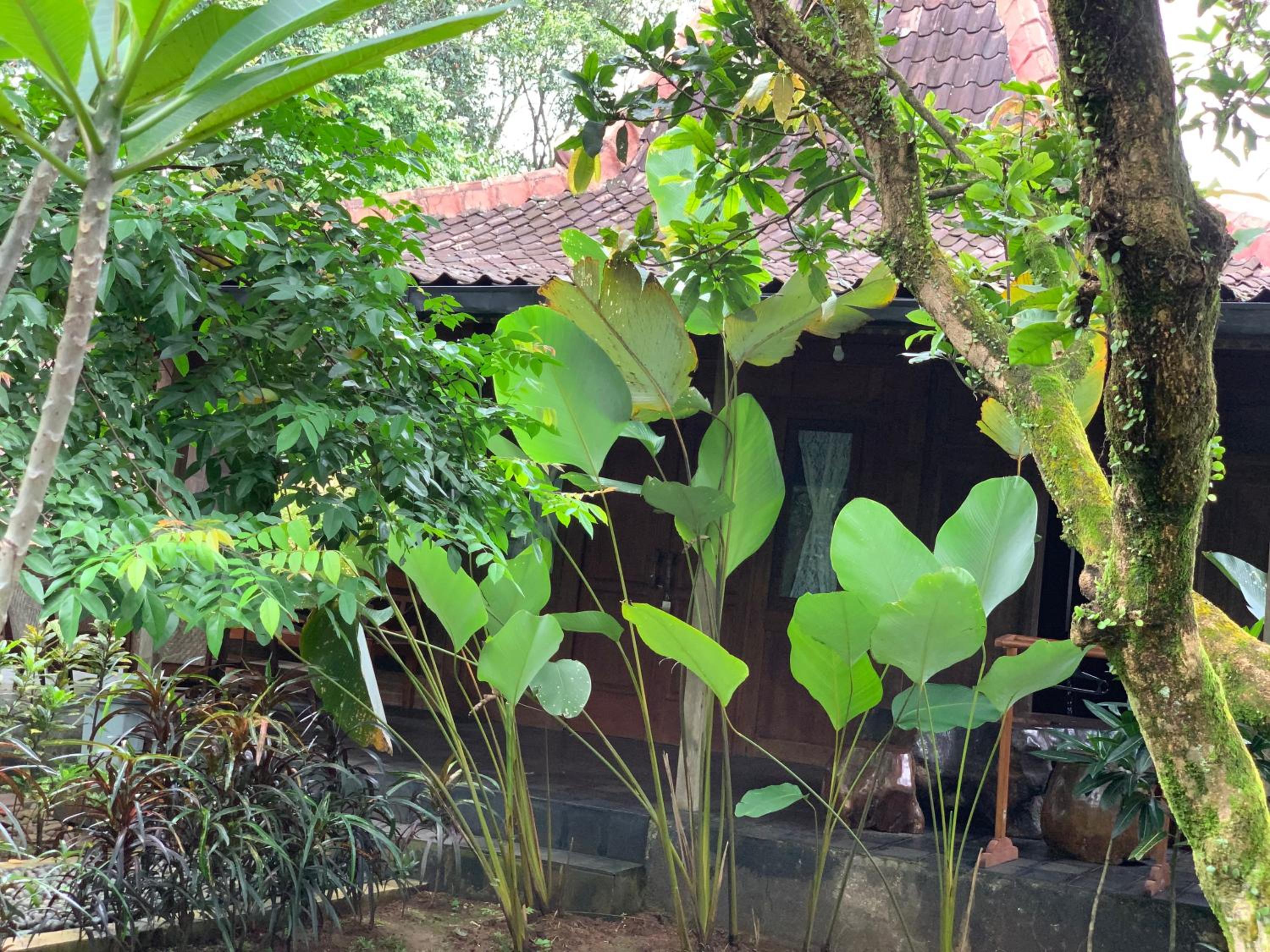 Kampoeng Wisata Rumah Joglo