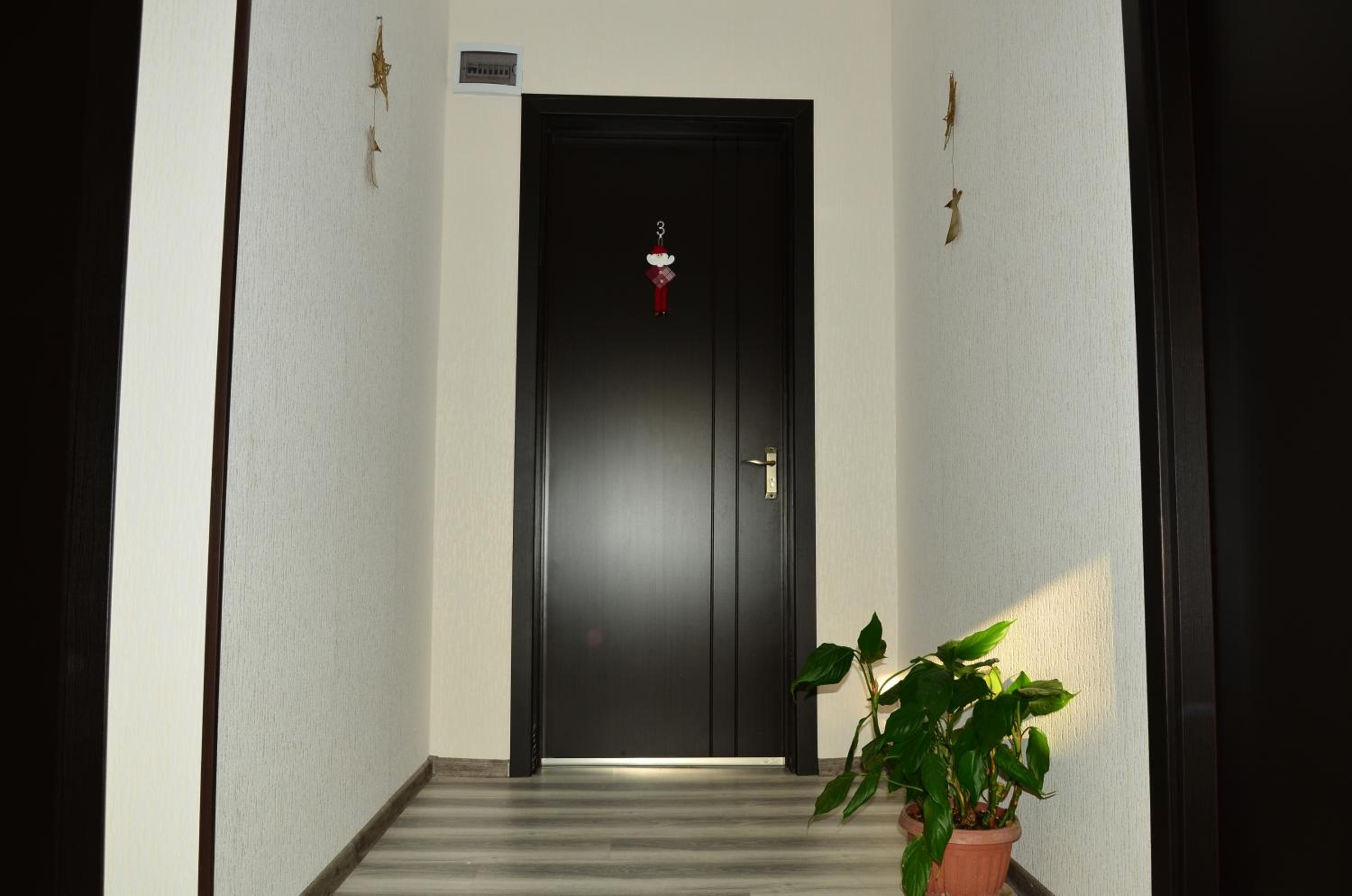 Photo 49