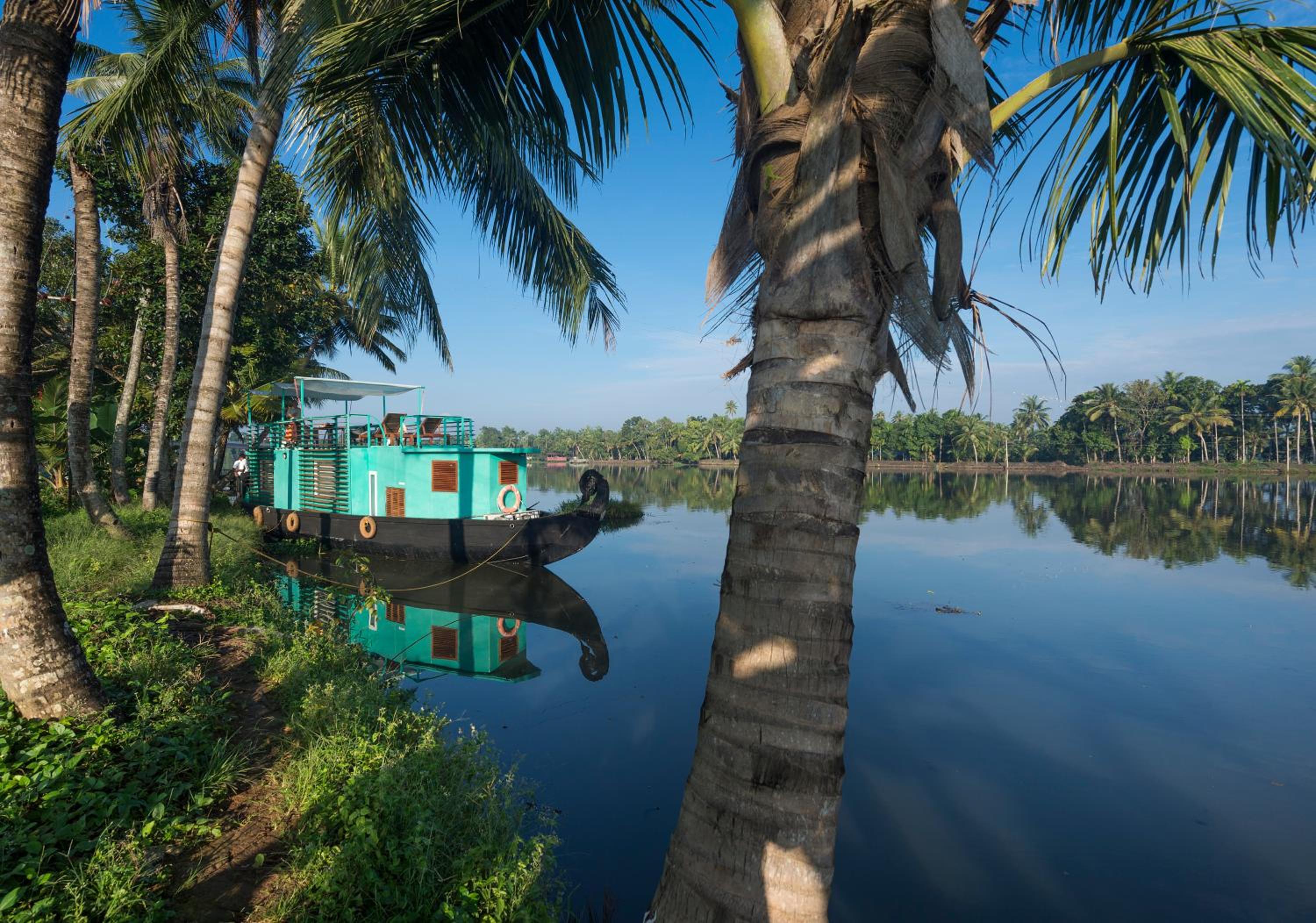 Purity at Lake Vembanad