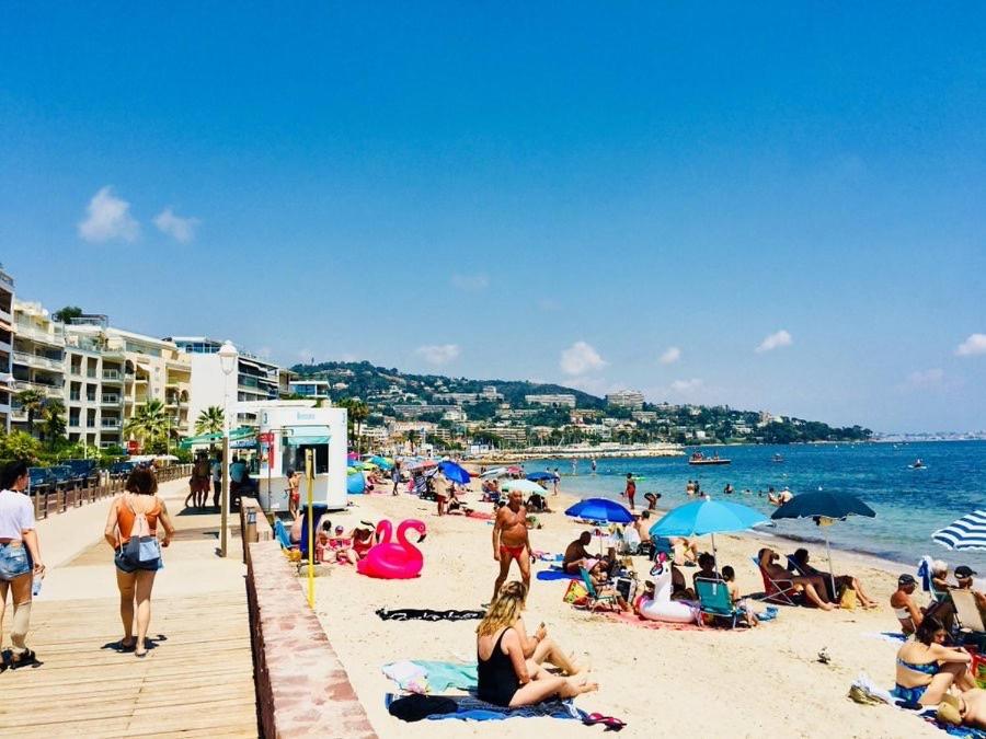 Authentic and beautiful one bedroom apartment Seafront with Garden Cannes photo 3