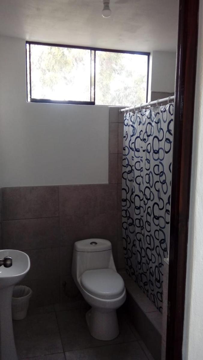 Diamond Monkey Lodge