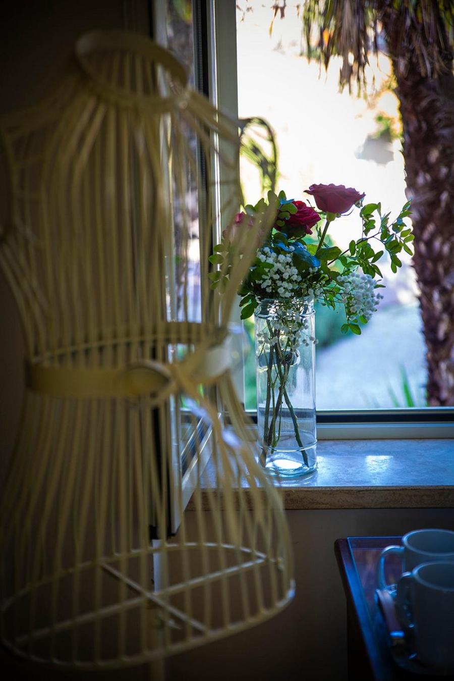 B&B La Residenza Torchiara