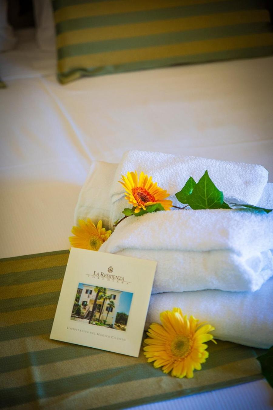 B&B La Residenza Torchiara