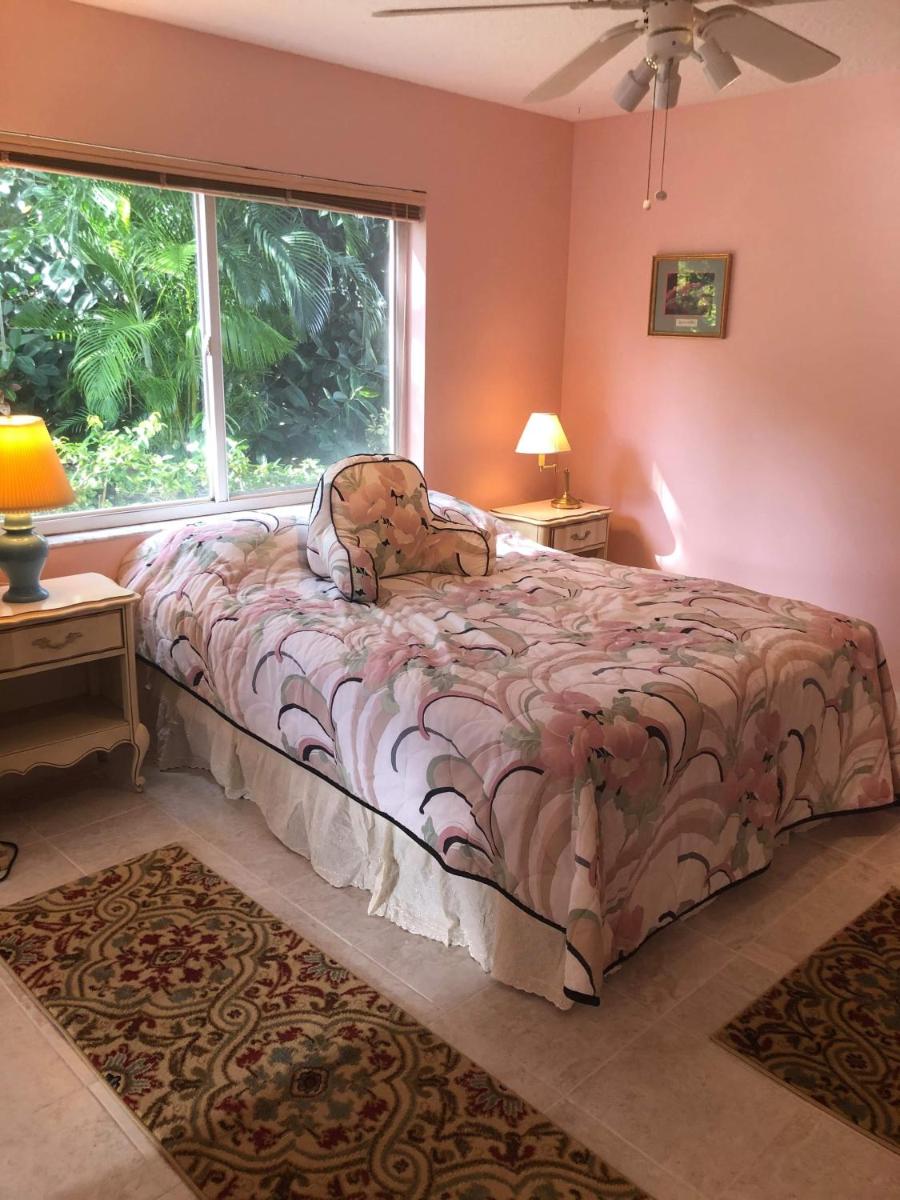 Beautiful Quiet Studio!! view 3