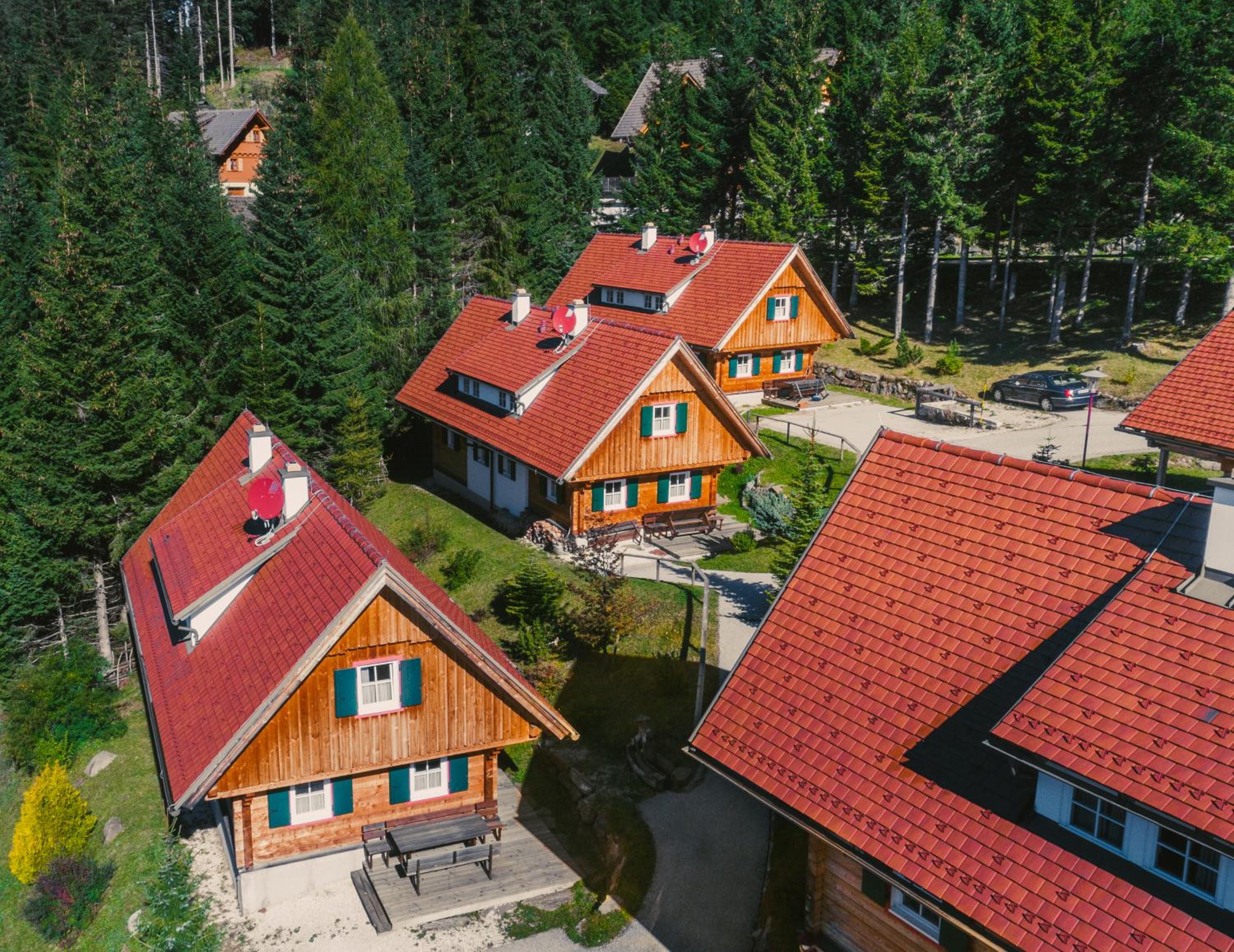 Alpine Cabin