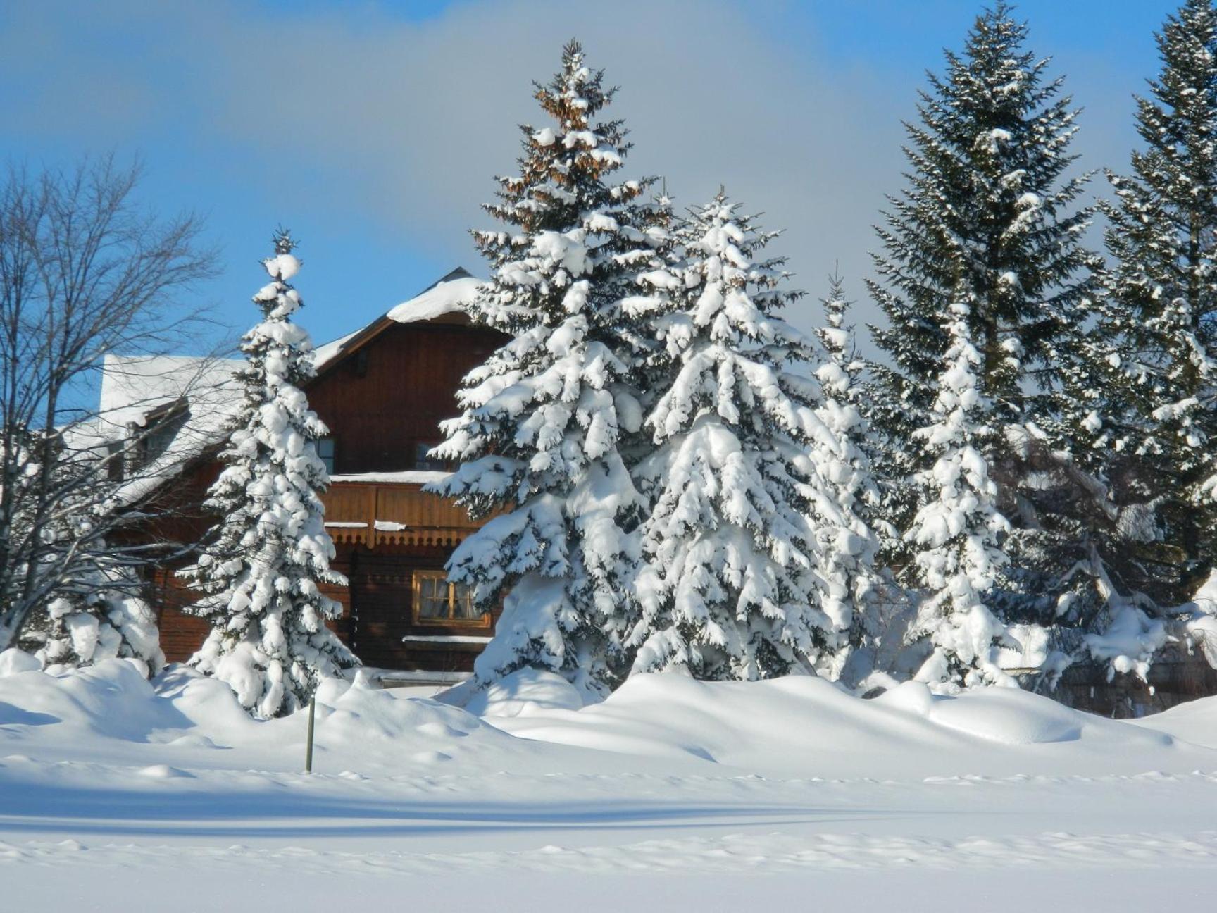 Gästehaus Herma