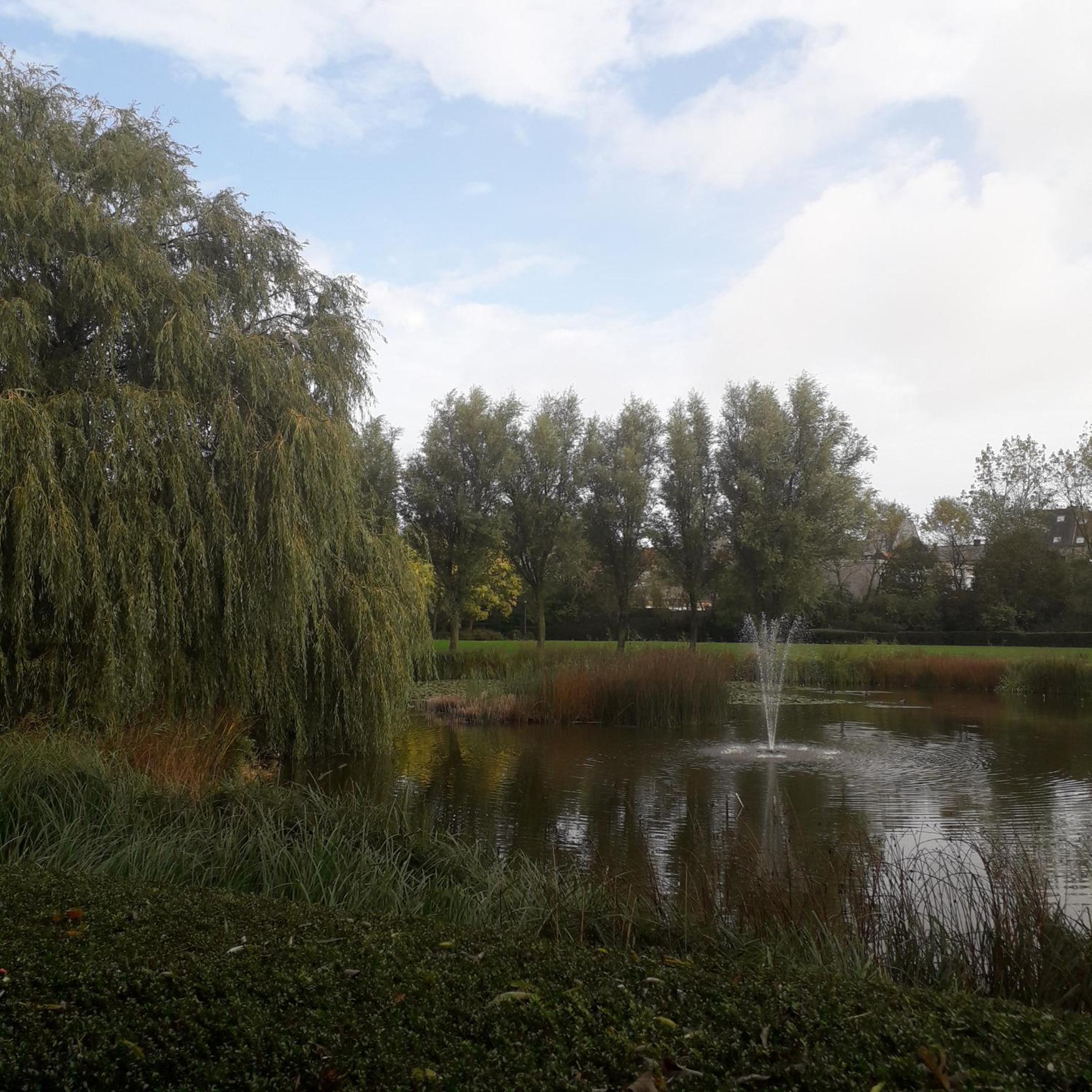 Residentie Romanza