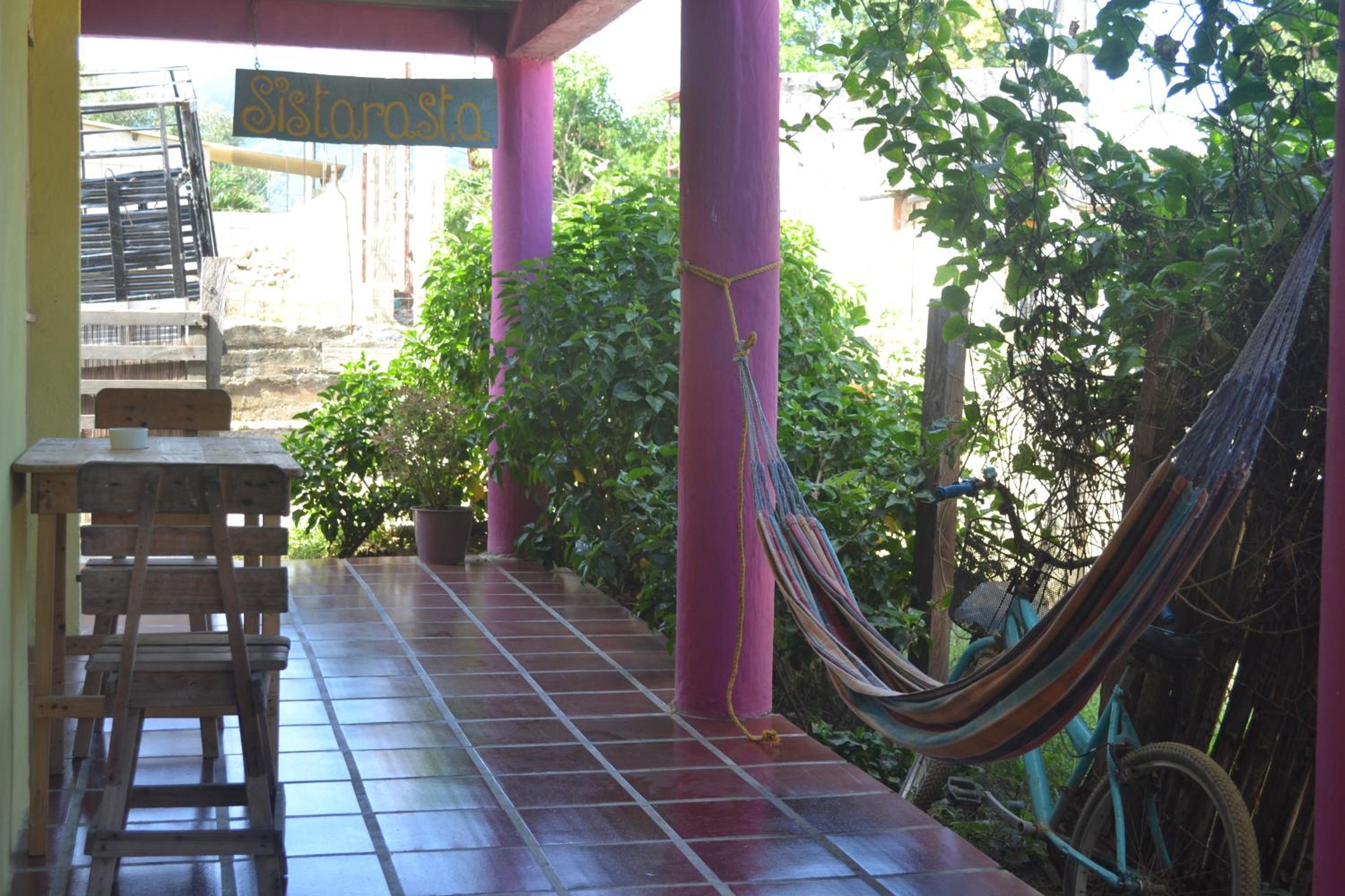 Sistarasta en Palomino