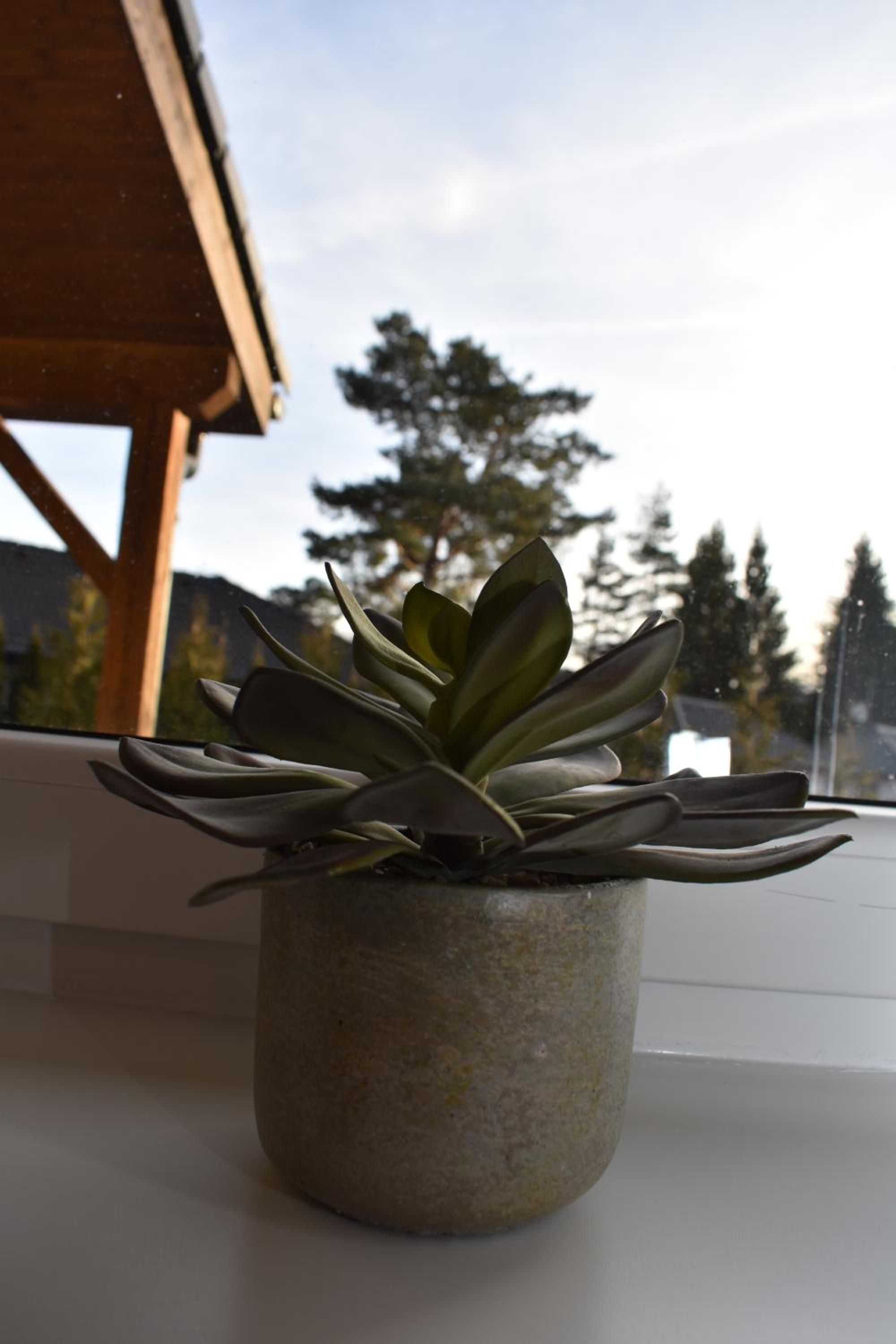 Sunny House