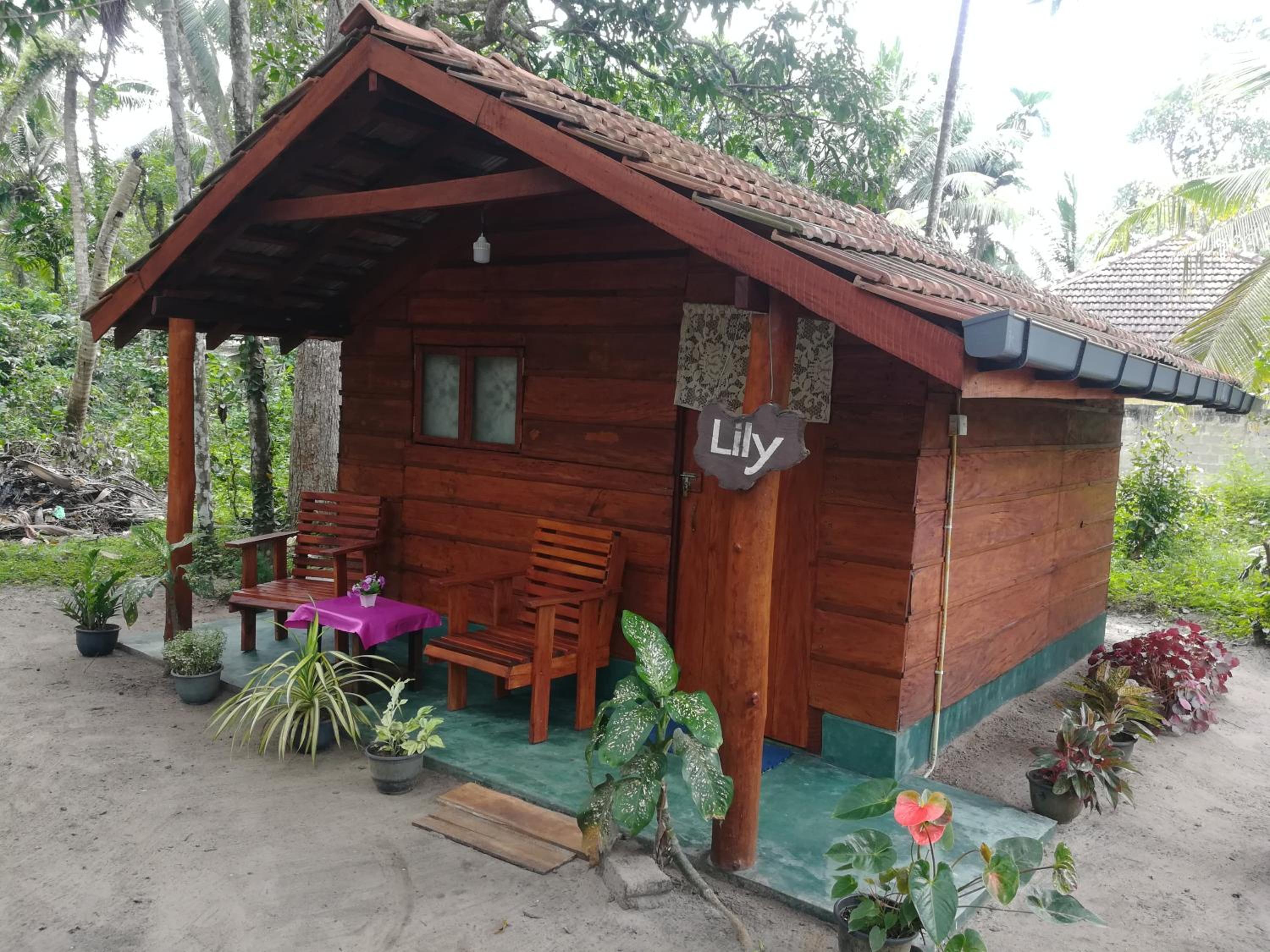 Jungle Paradise