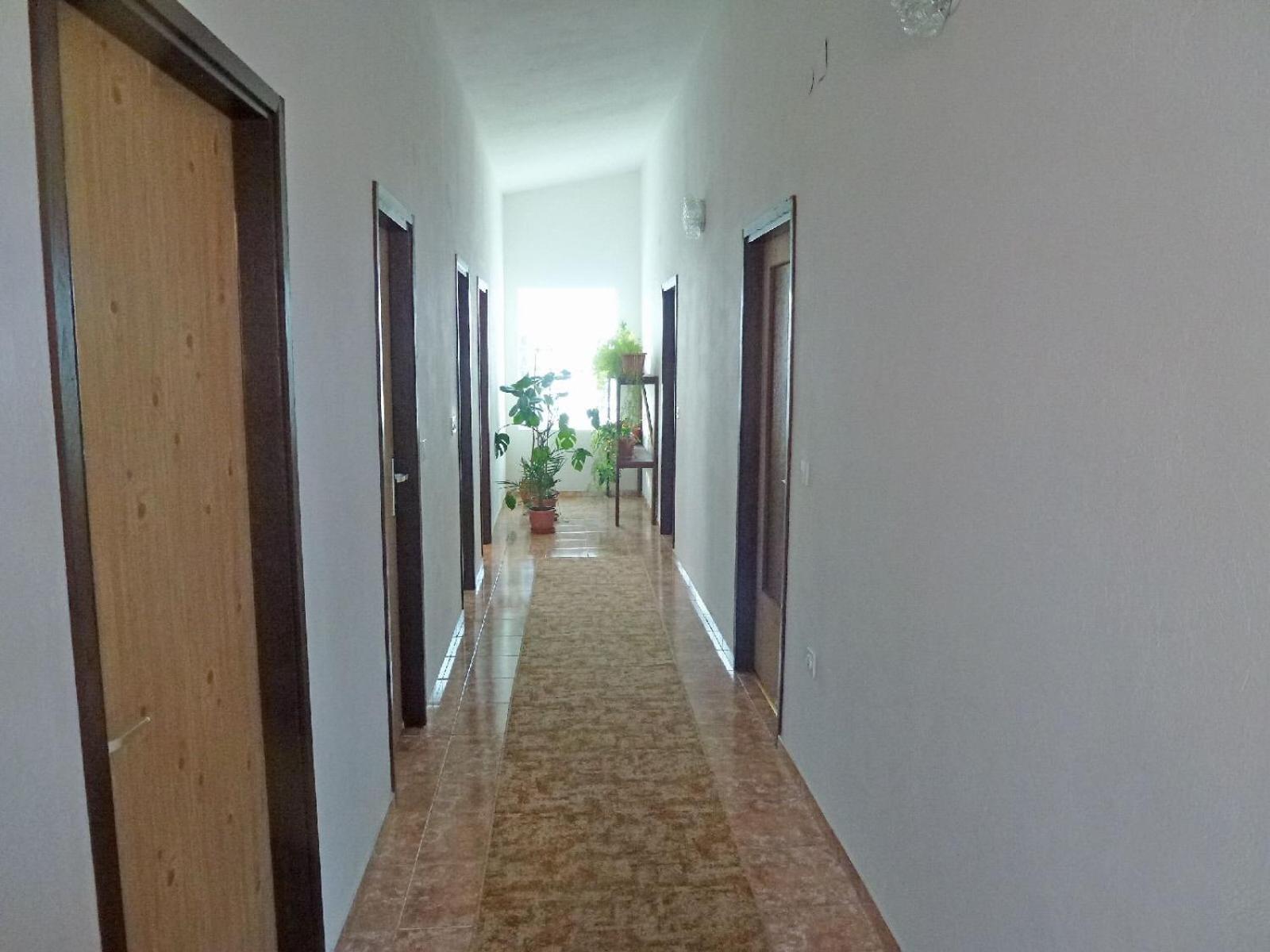 Apartment Milica