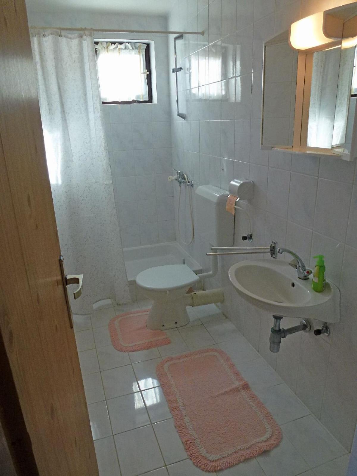 Apartment Milica