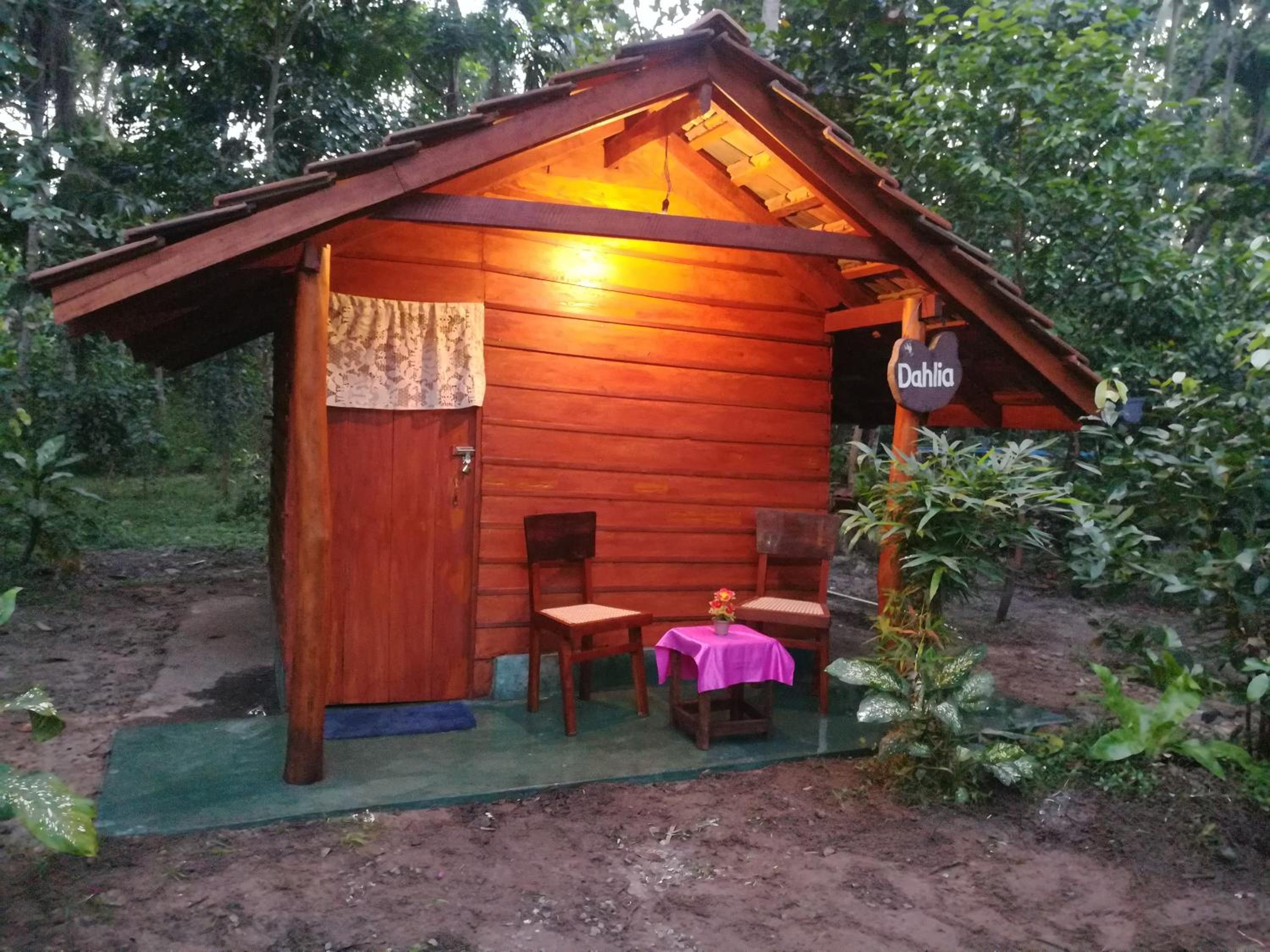 Jungle Paradise