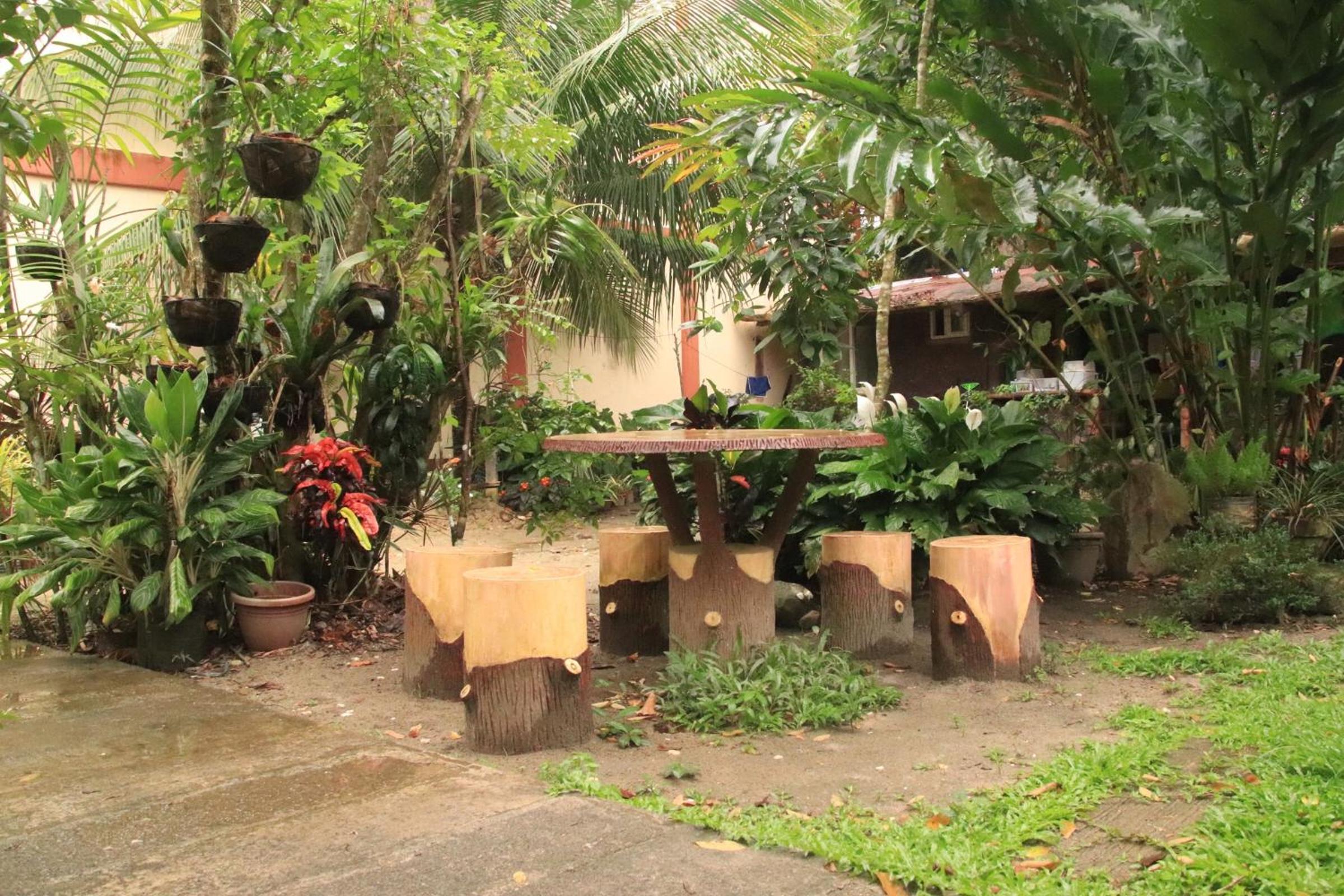 Photo 46