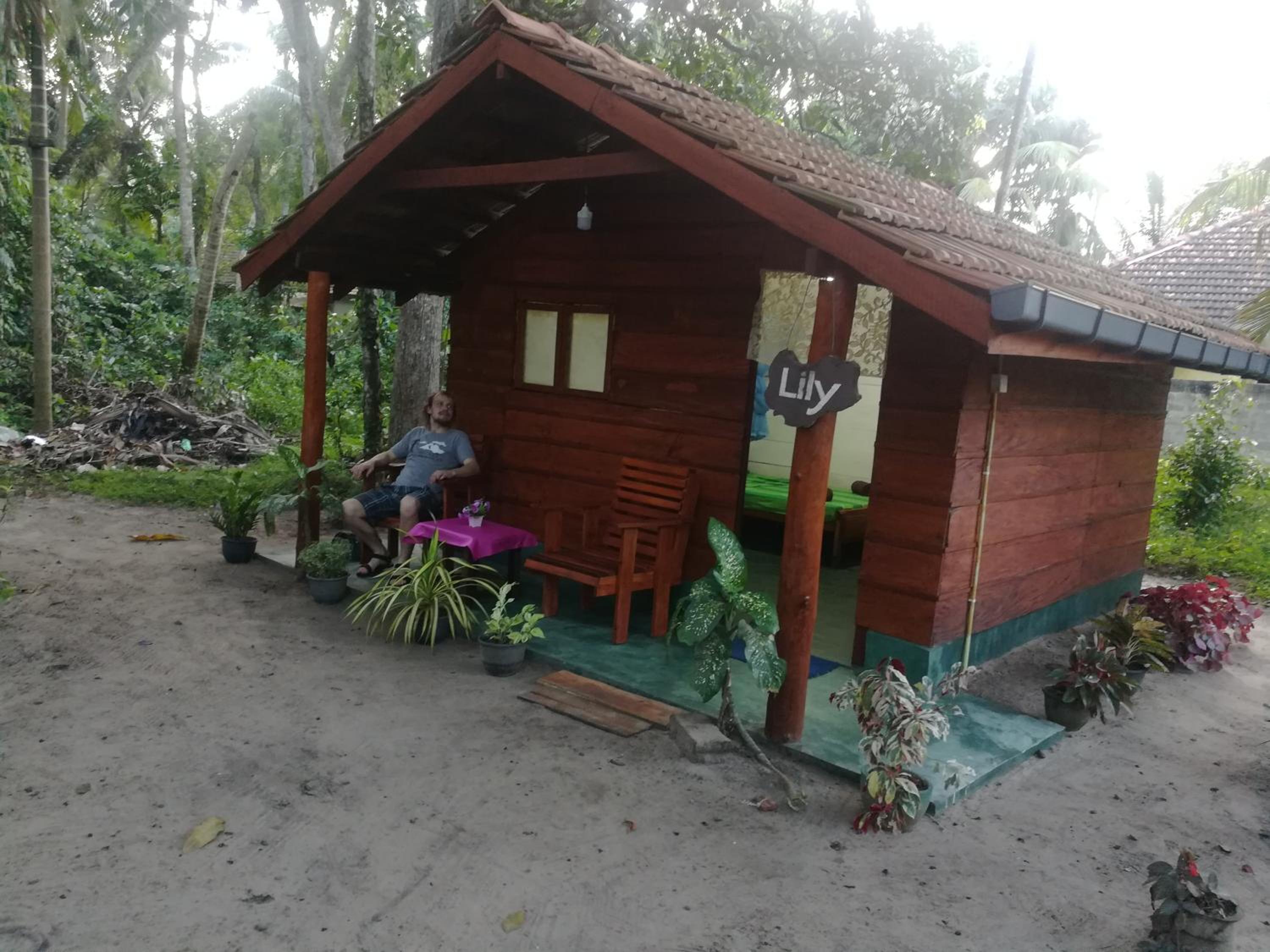 Jungle Paradise