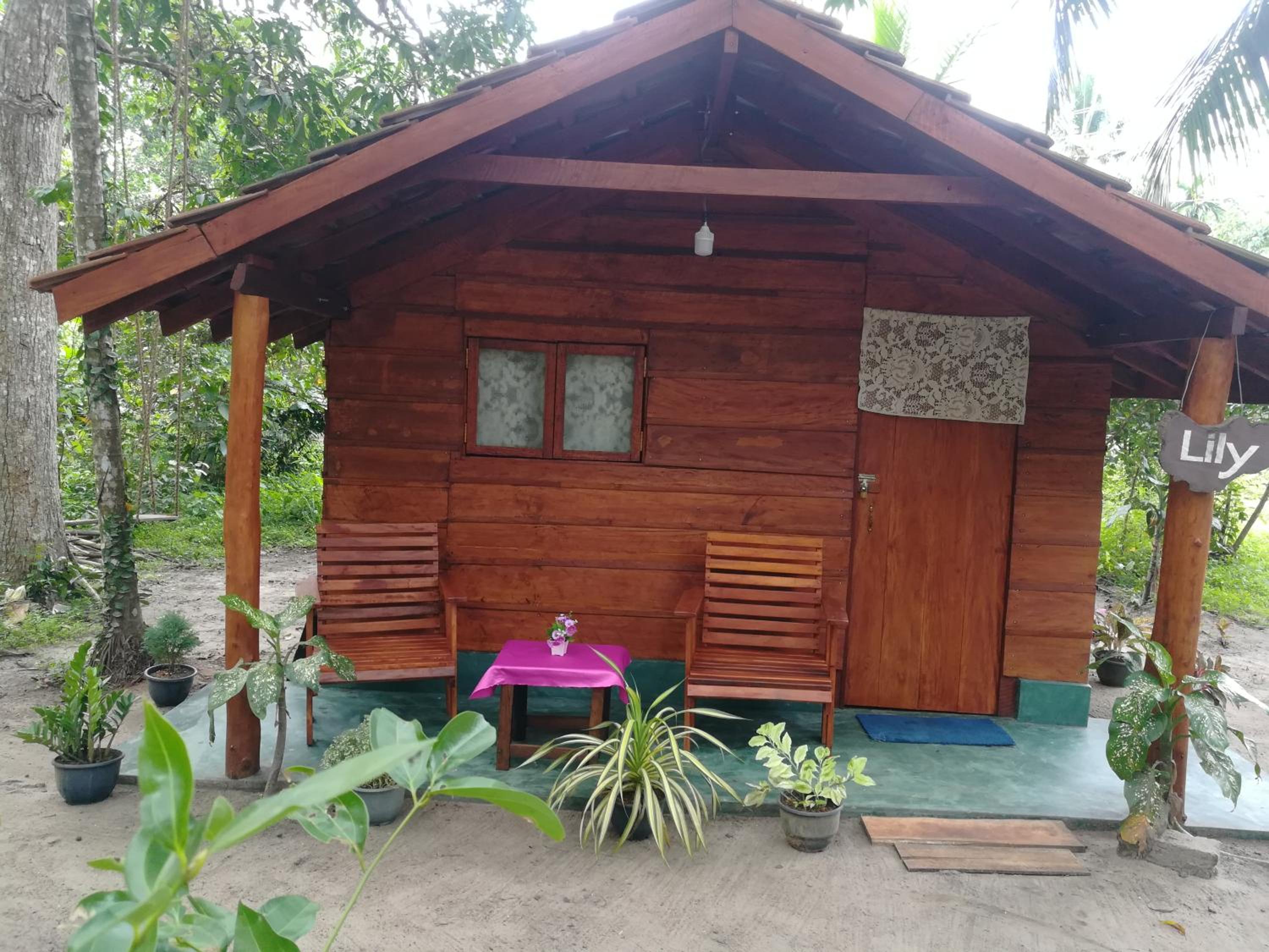 Jungle Paradise