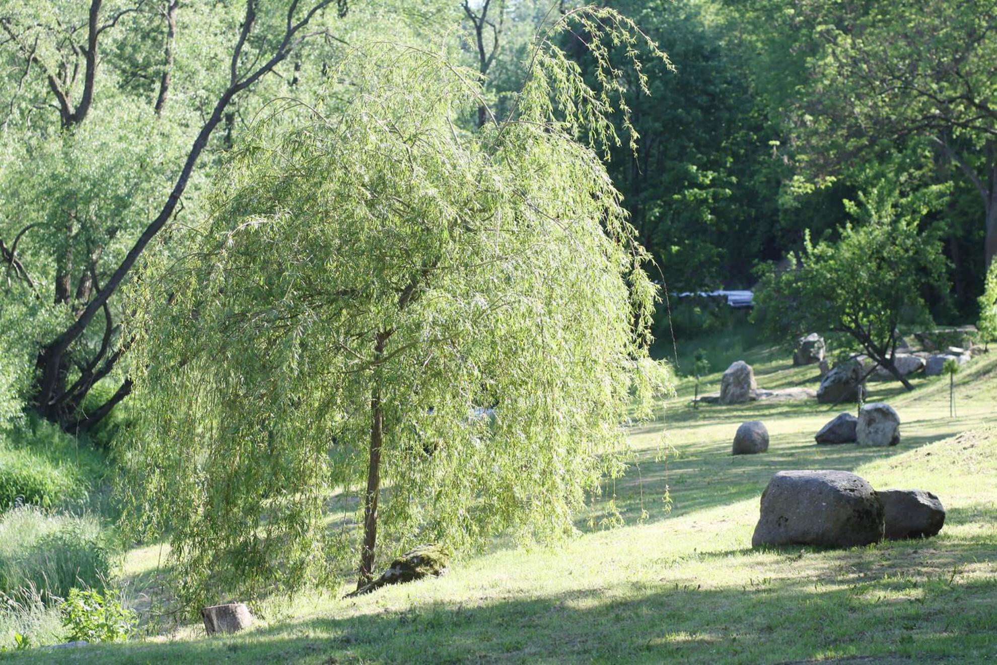Photo 24