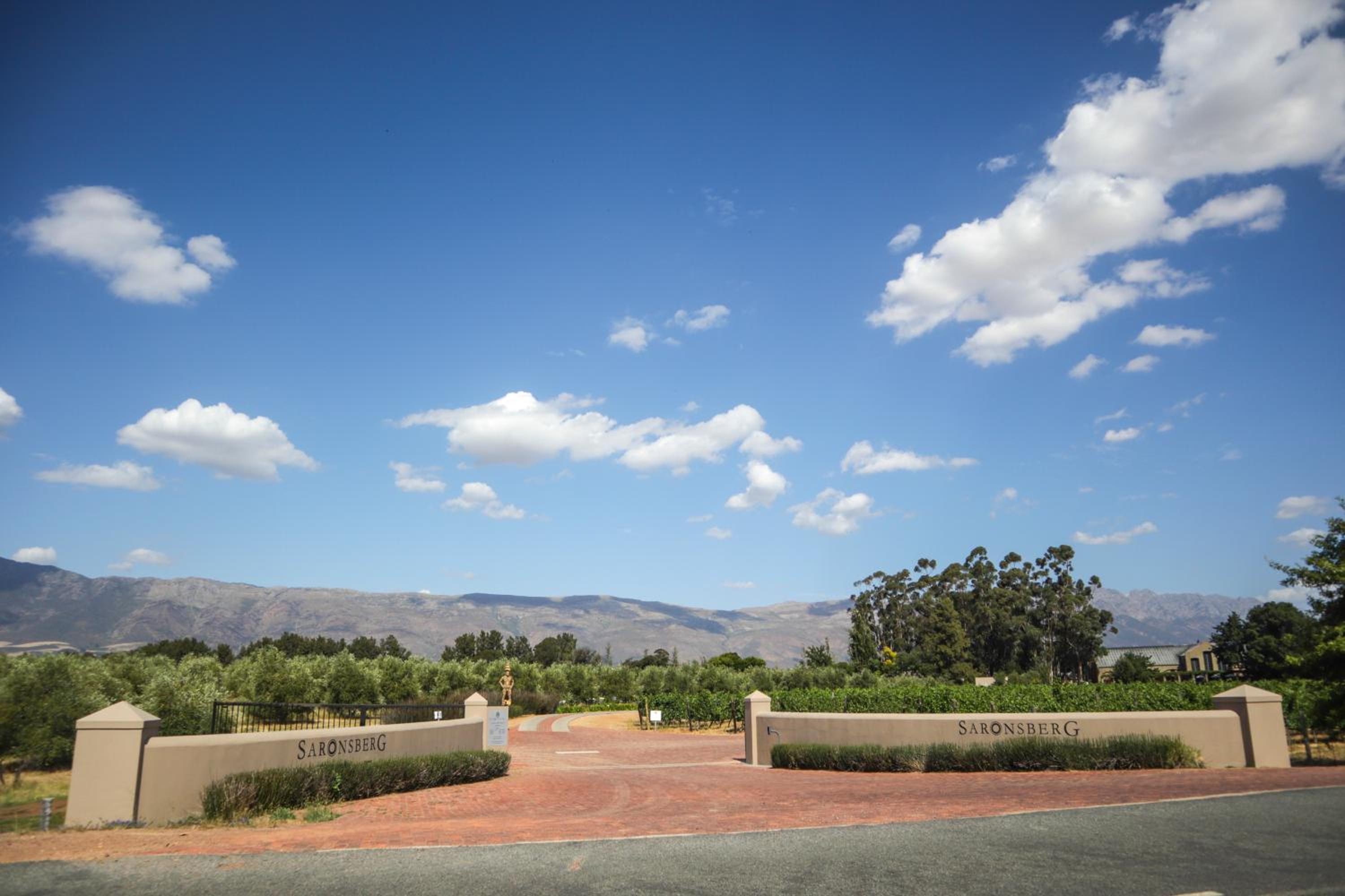Saronsberg Vineyard Cottages