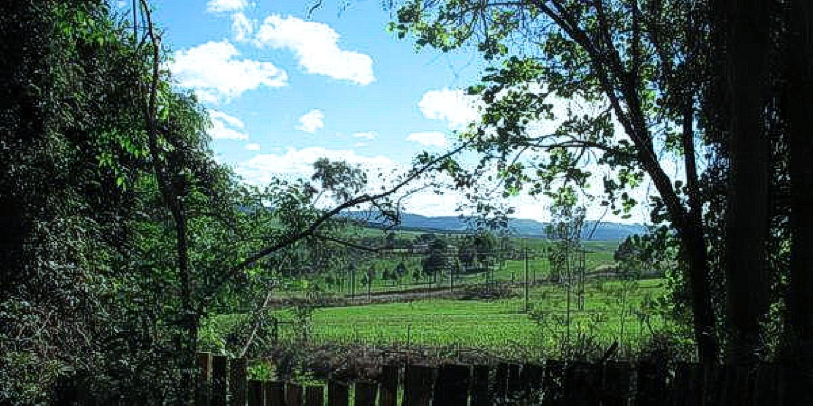 Photo 26