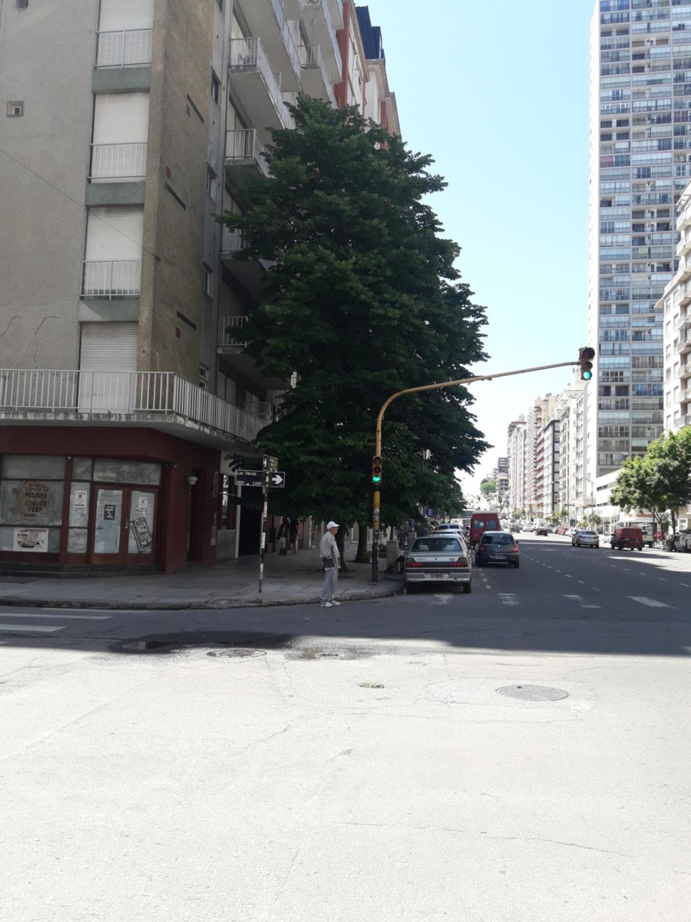 Depto 2 amb amplios a metros del casino y playa MDP