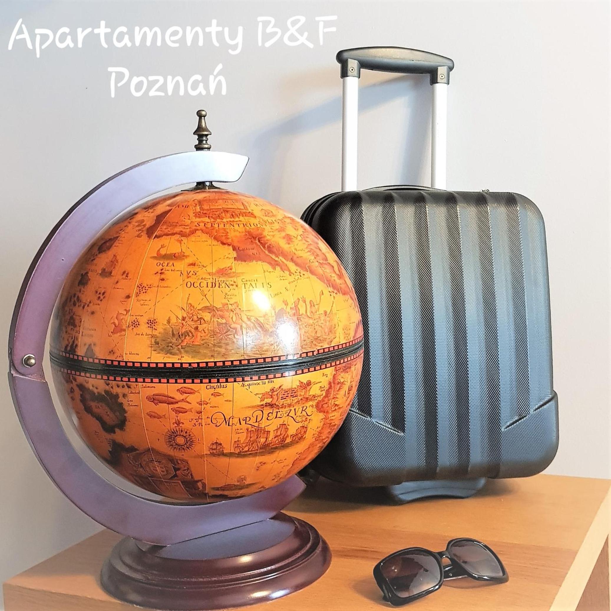 Apartament B&F Poznań Business & Family view 4
