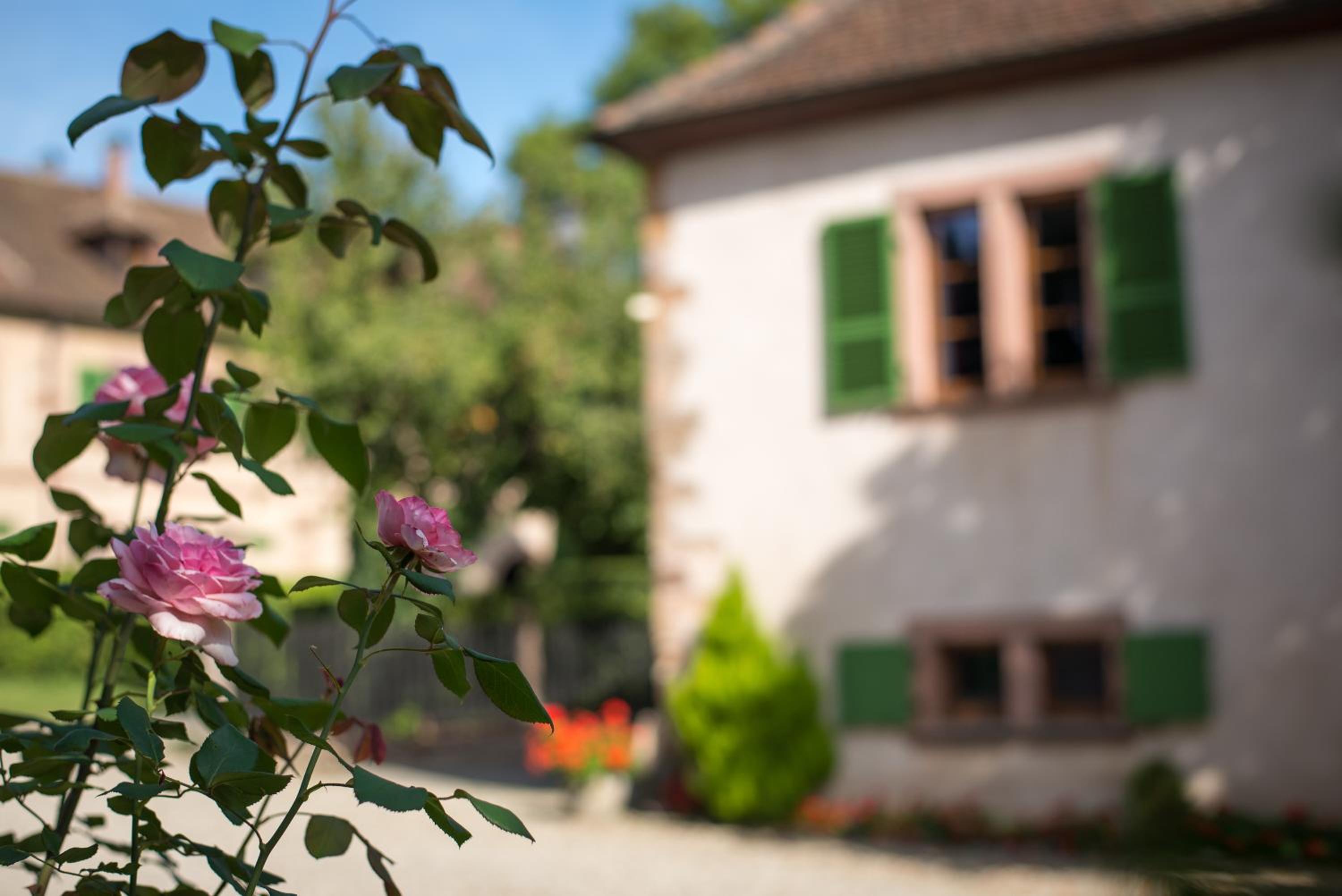 Gite **** Le Meyerhof view 2