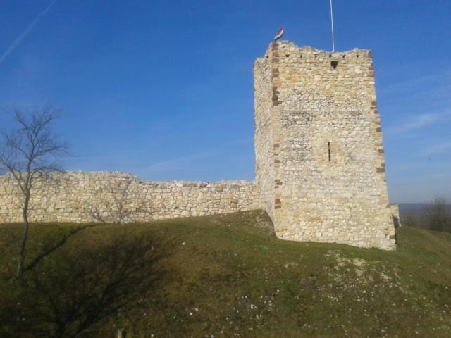 Photo 29