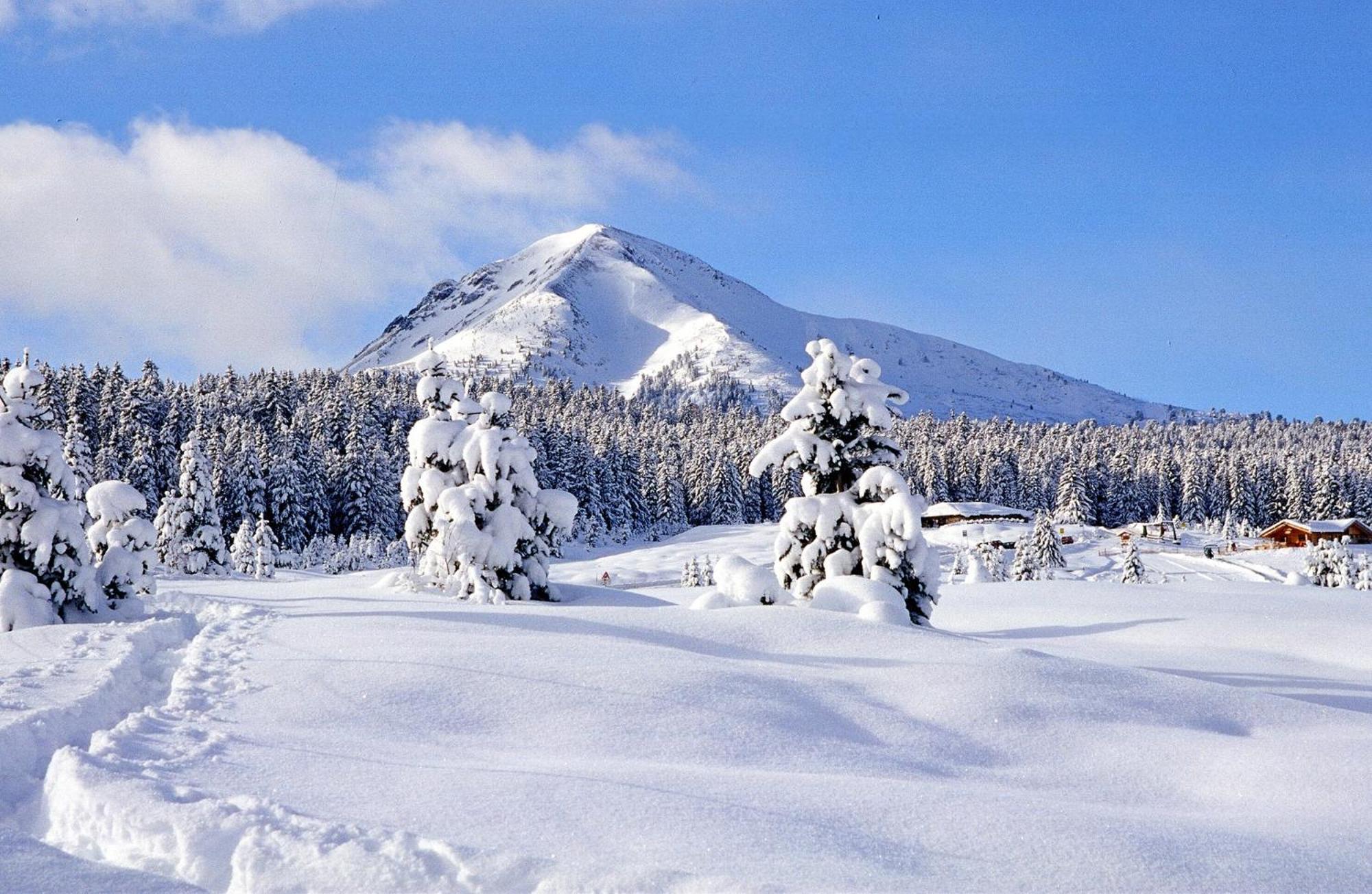 Photo 56