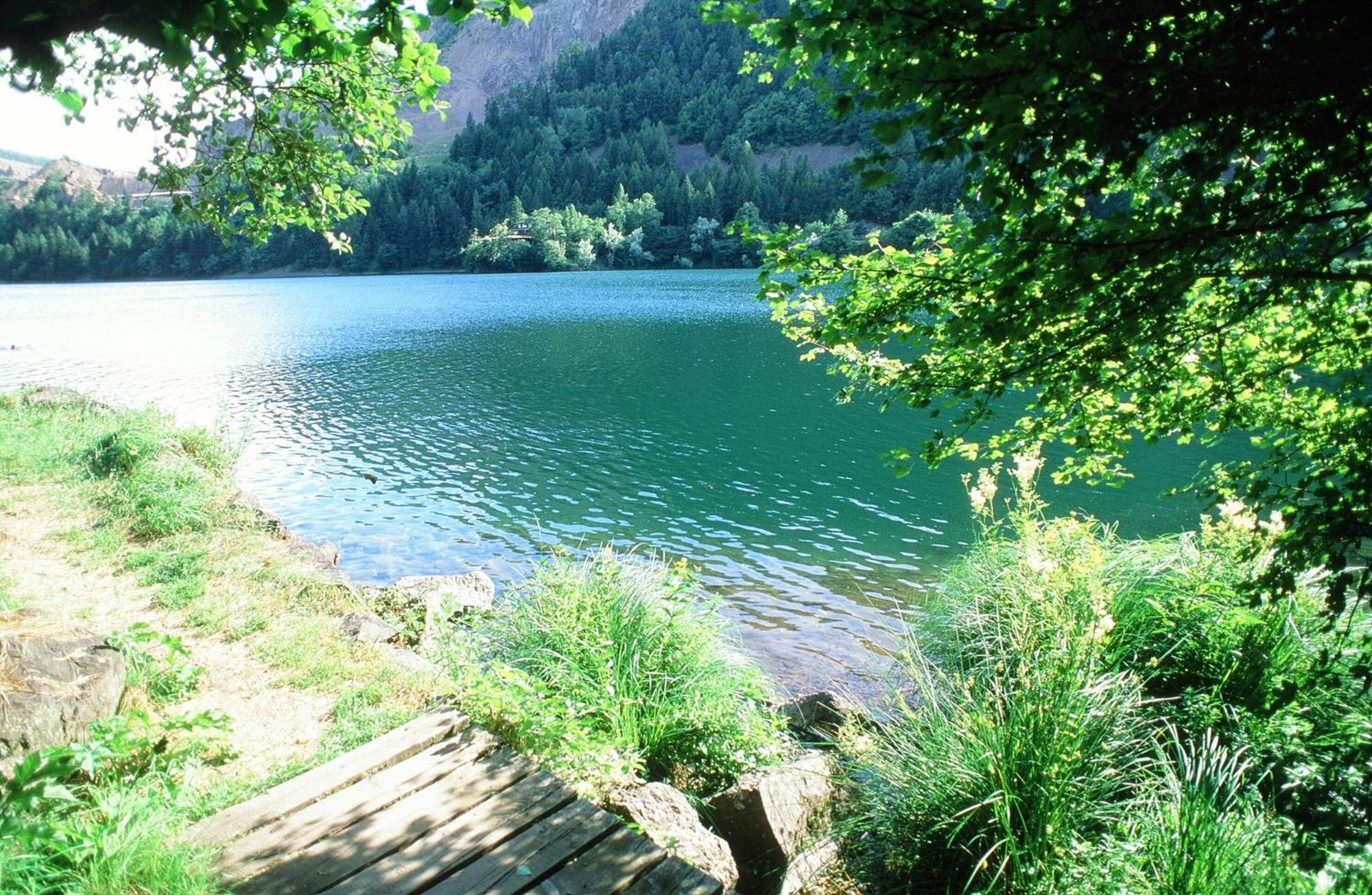 Photo 40