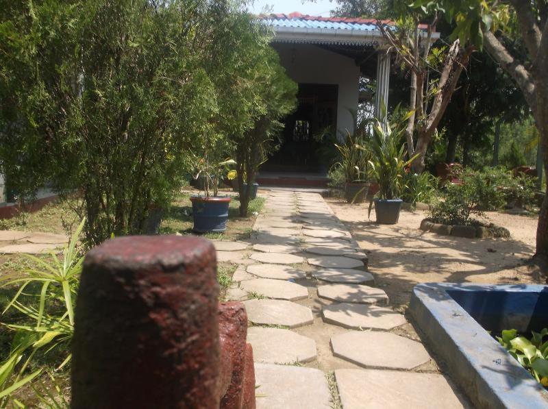 Photo 9