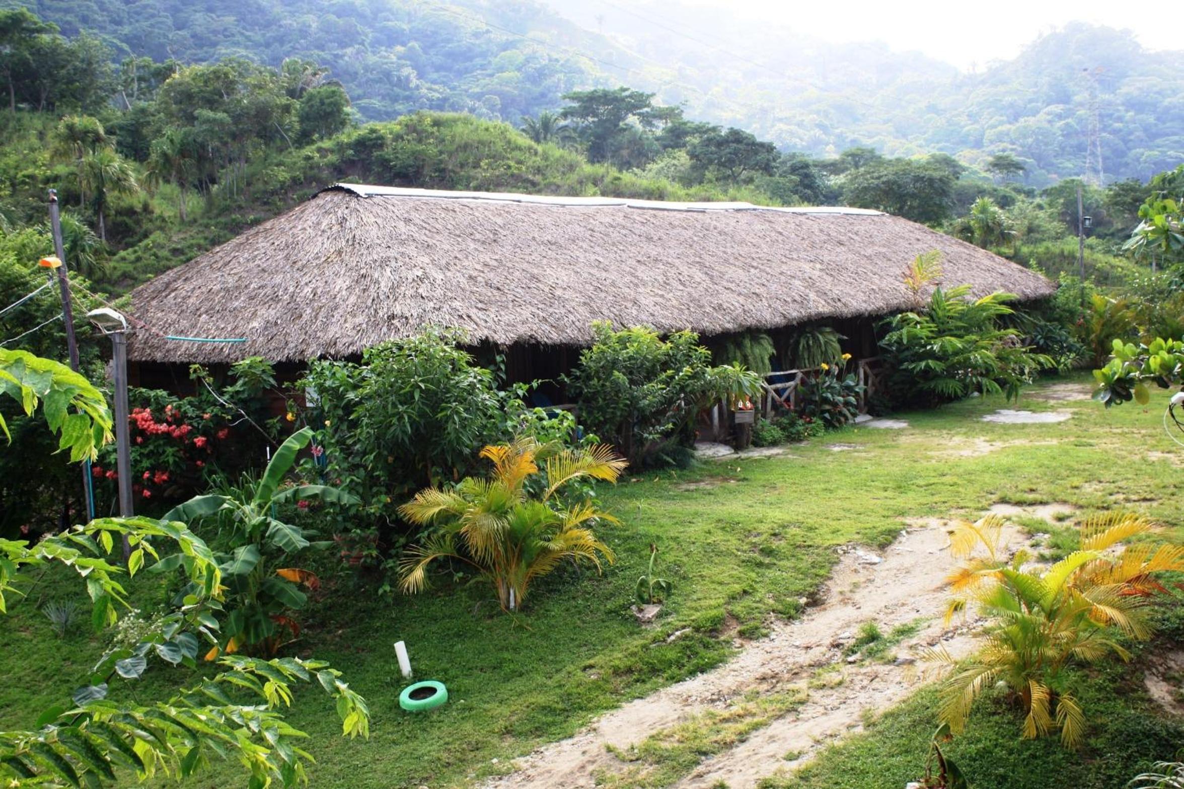 Cabañas Ecoturisticas Y Club Gaira Tayrona view 4