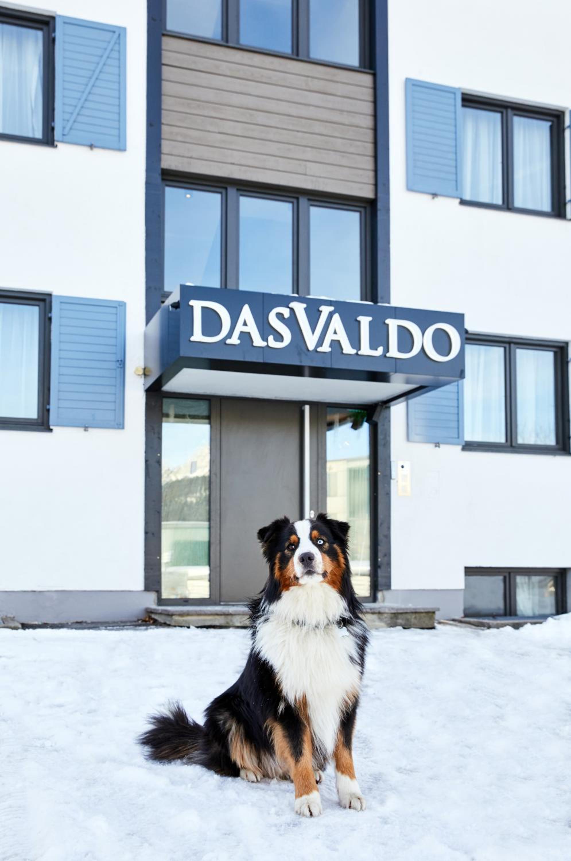 das Valdo