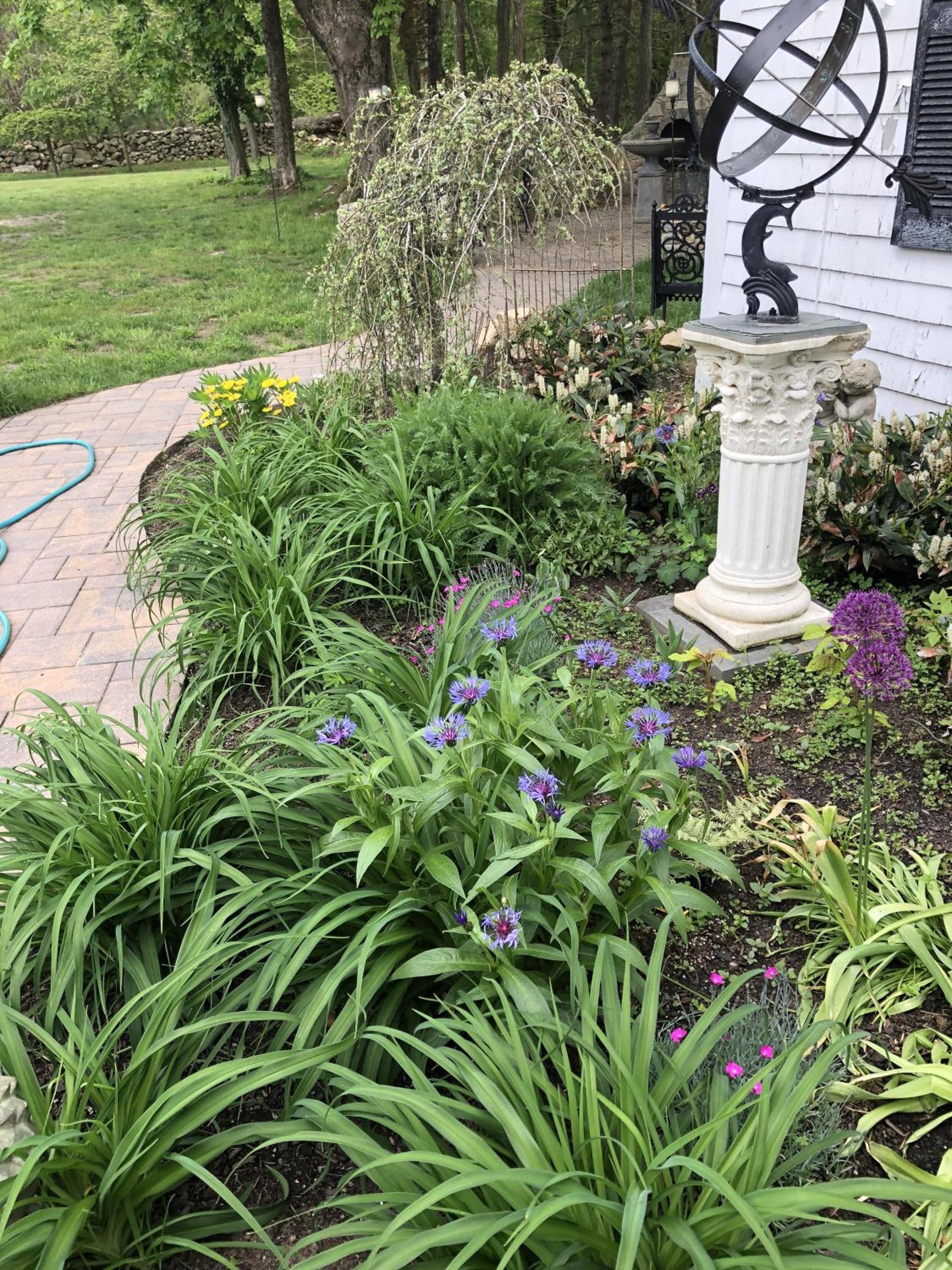 Marion Vacations - Silvershell Inn - Property Image 52