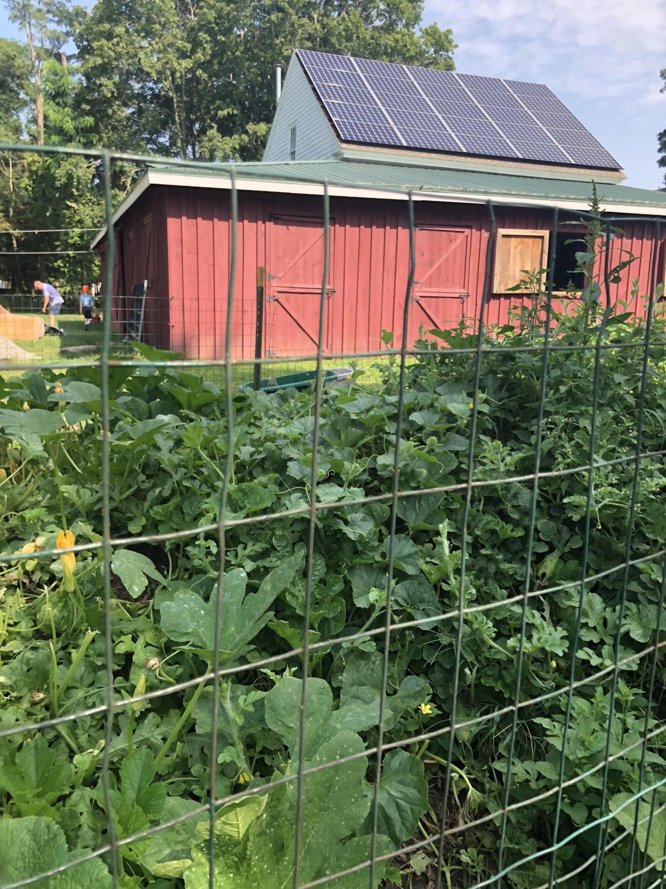 Marion Vacations - Silvershell Inn - Property Image 55