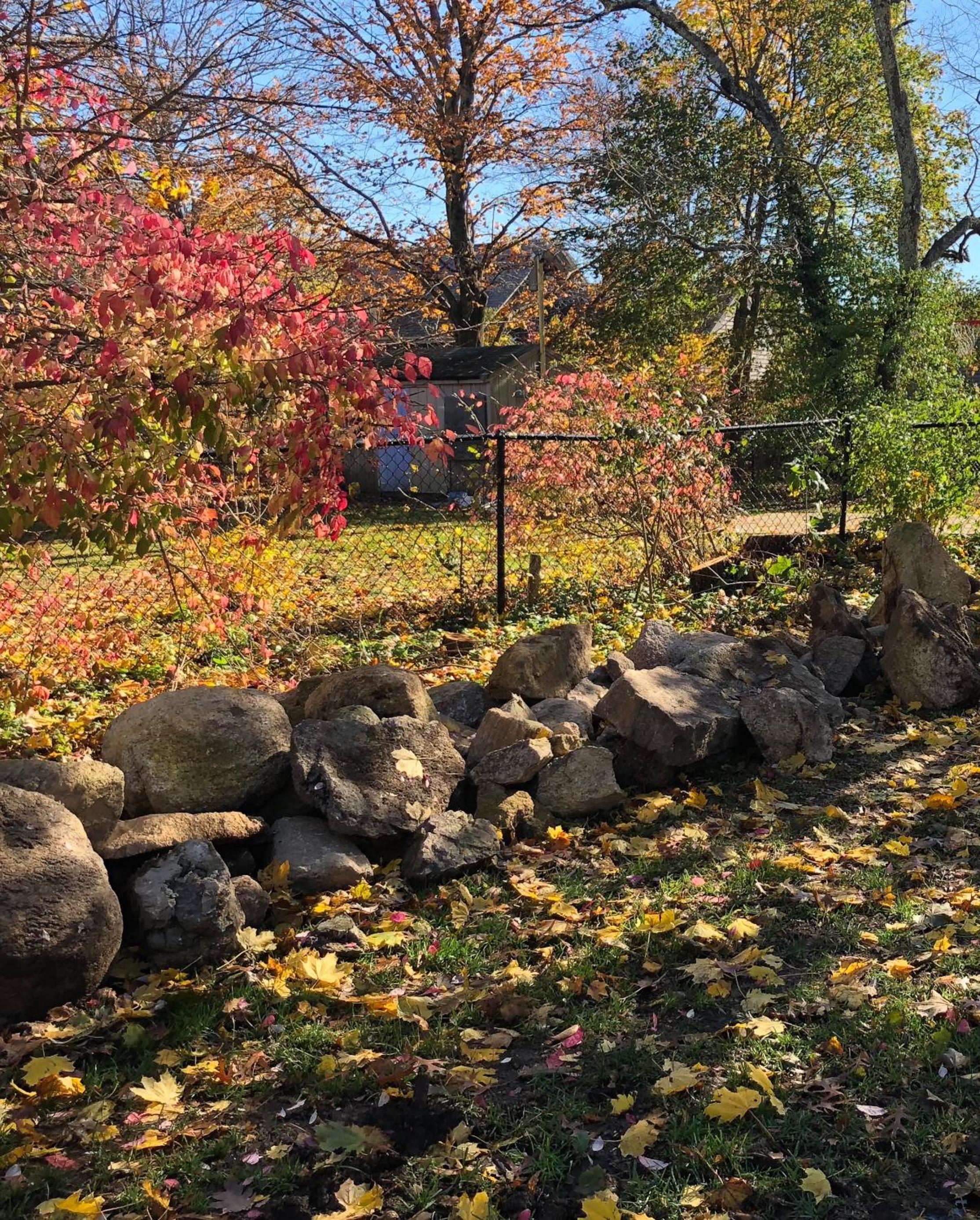 Marion Vacations - Silvershell Inn - Property Image 67