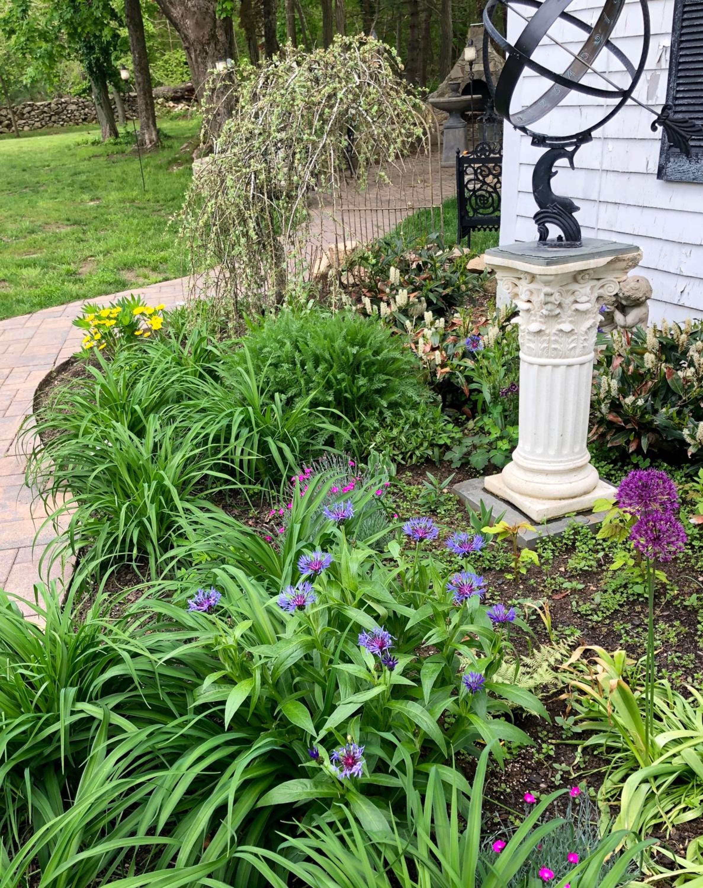 Marion Vacations - Silvershell Inn - Property Image 63