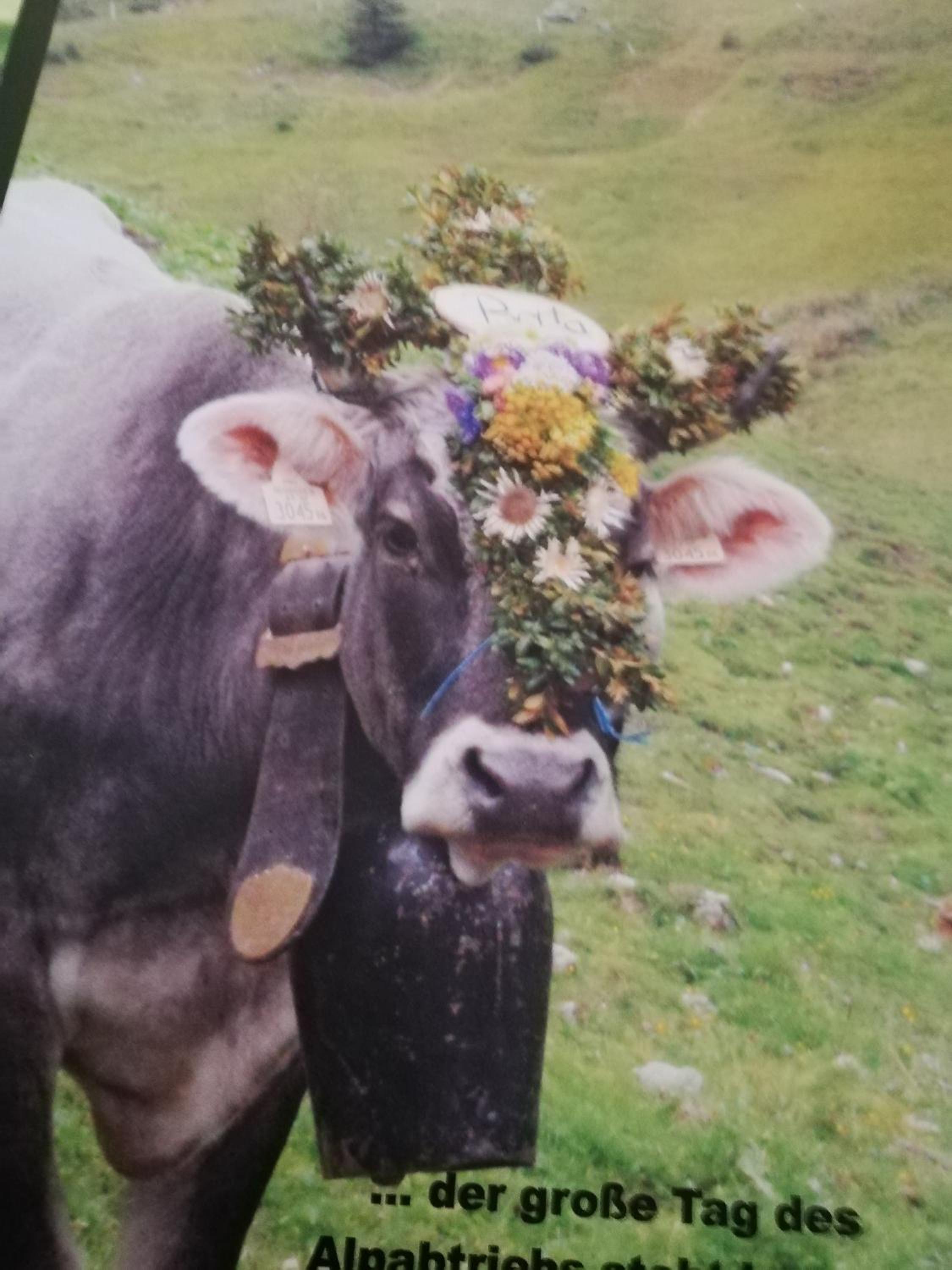 Ferienwohnung Auszeit